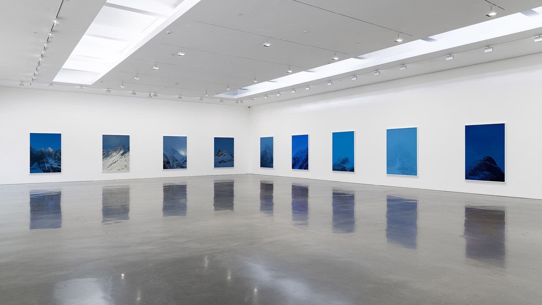 Catherine Opie — Holding Blue — image 1 of 8