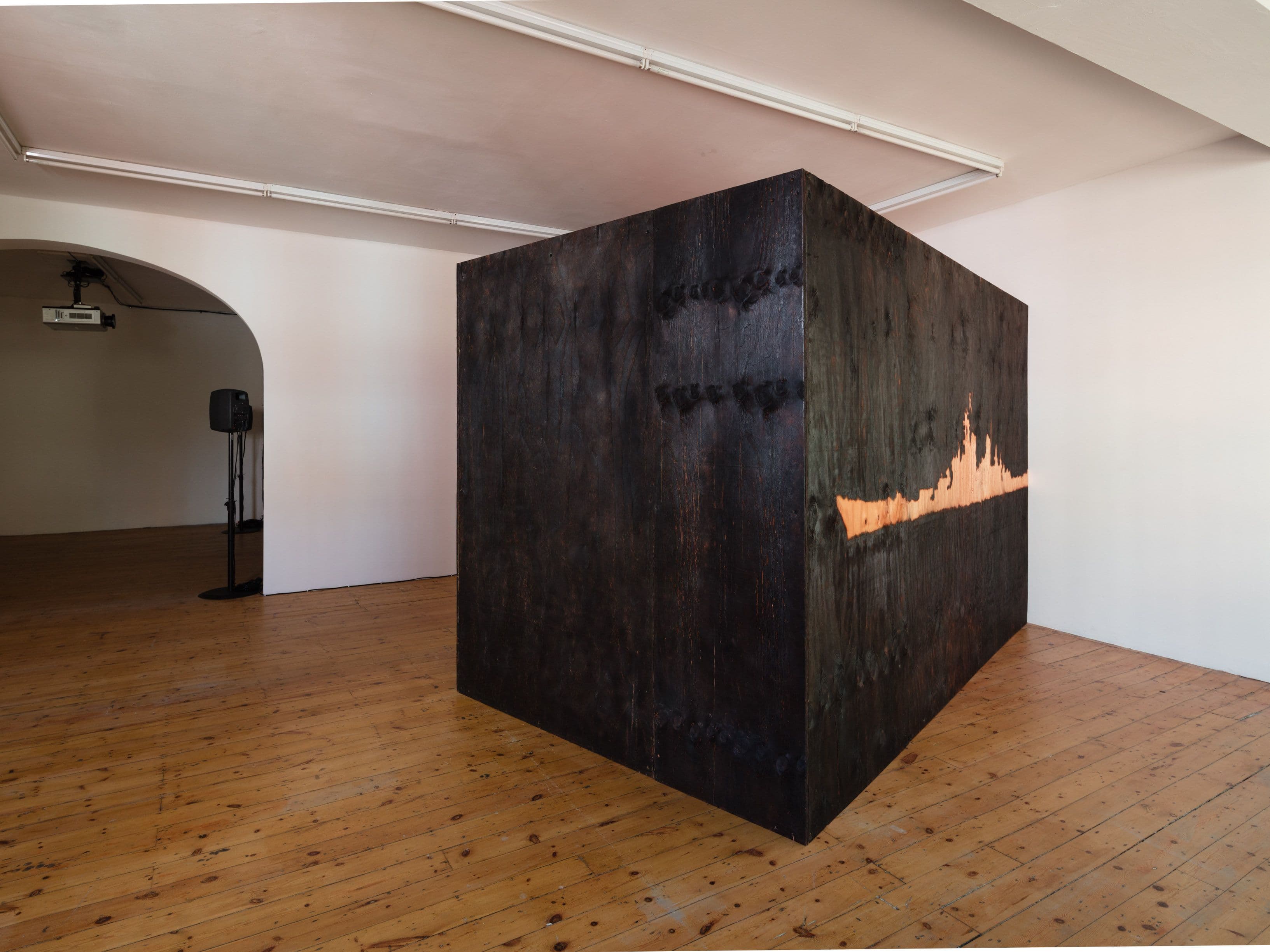 Mark Aerial Waller / Ian Law & Aaron Angell — Two Exhibitions — image 2 of 6