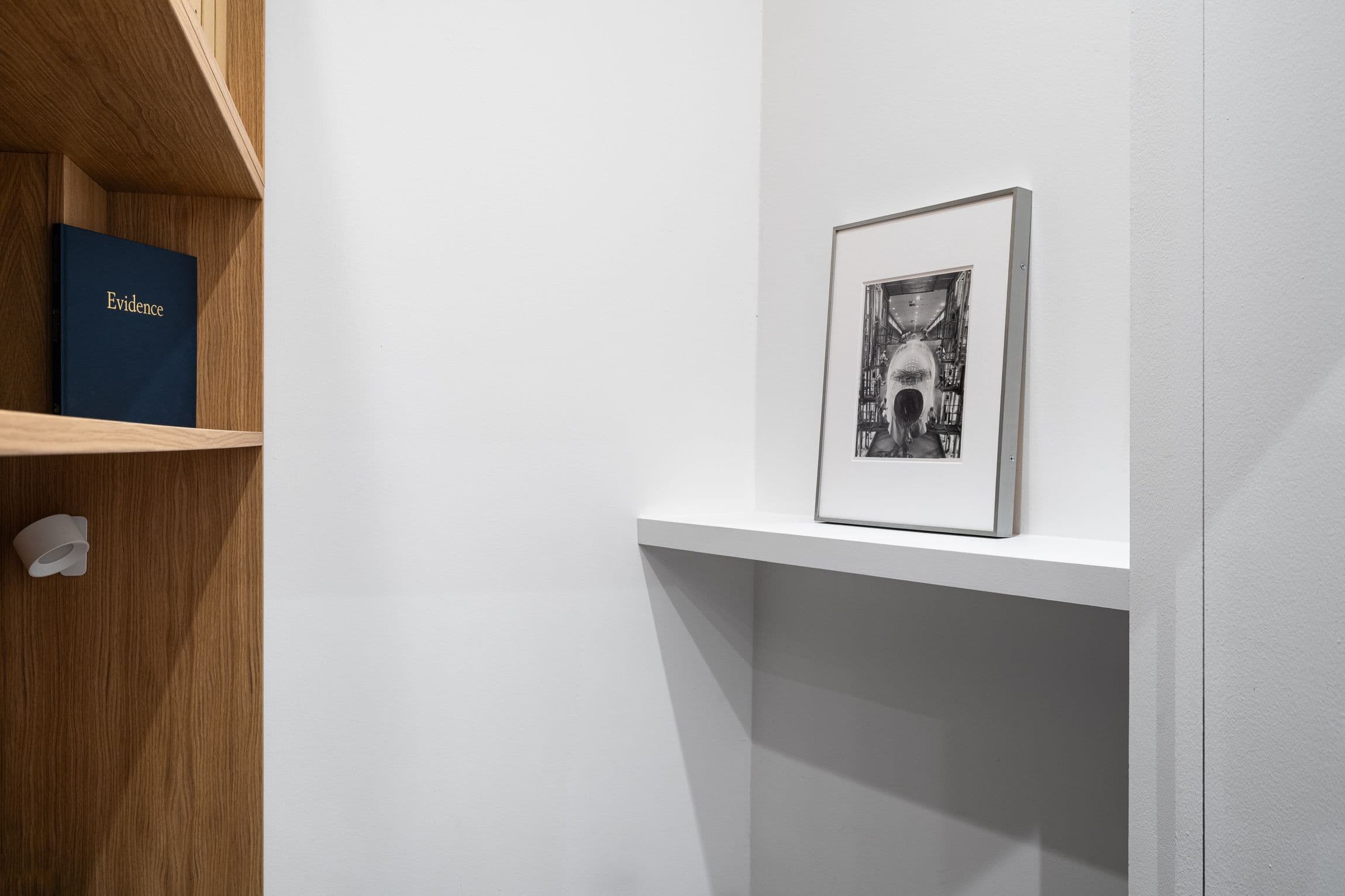 Mike Mandel & Larry Sultan — Evidence — image 7 of 7
