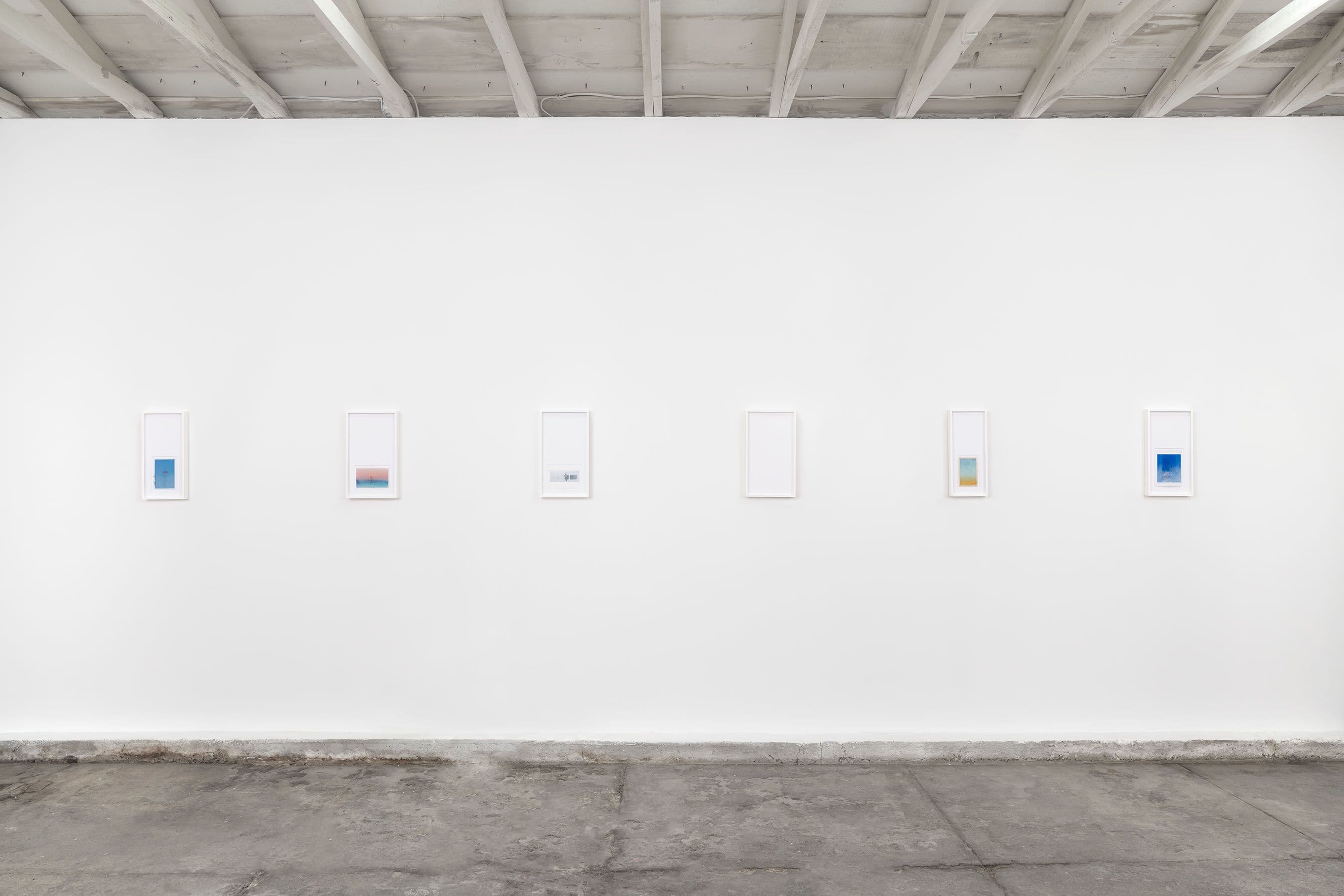 Fern Vargas — Sic! — image 3 of 4
