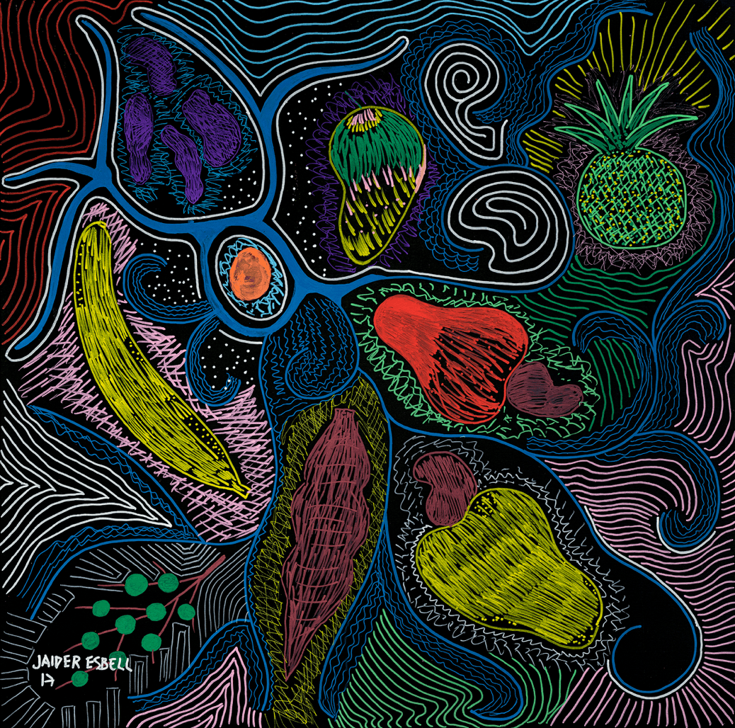 Jaider Esbell — Jaider Esbell