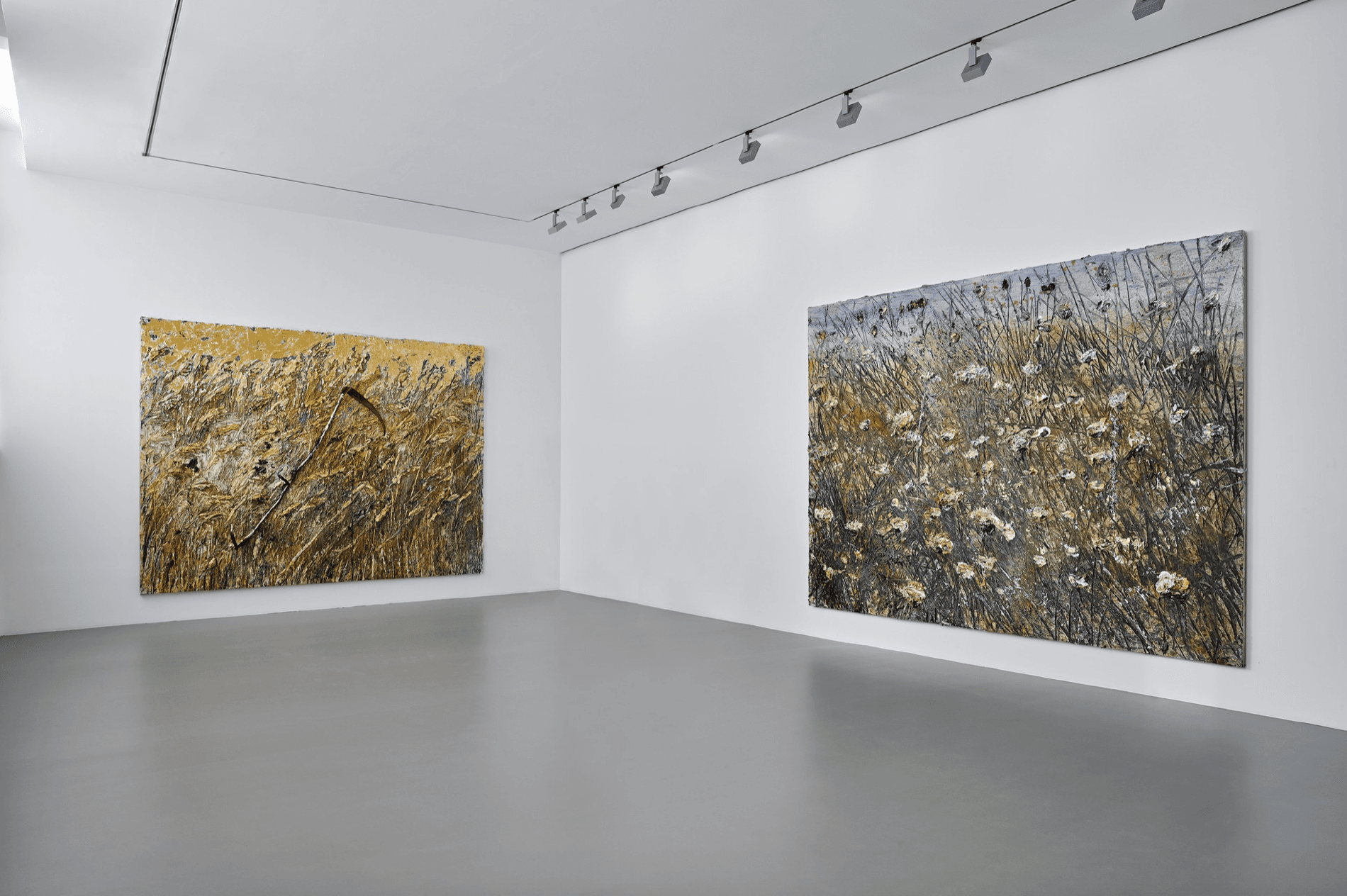 Anselm Kiefer — Field of the Cloth of Gold — image 3 of 3