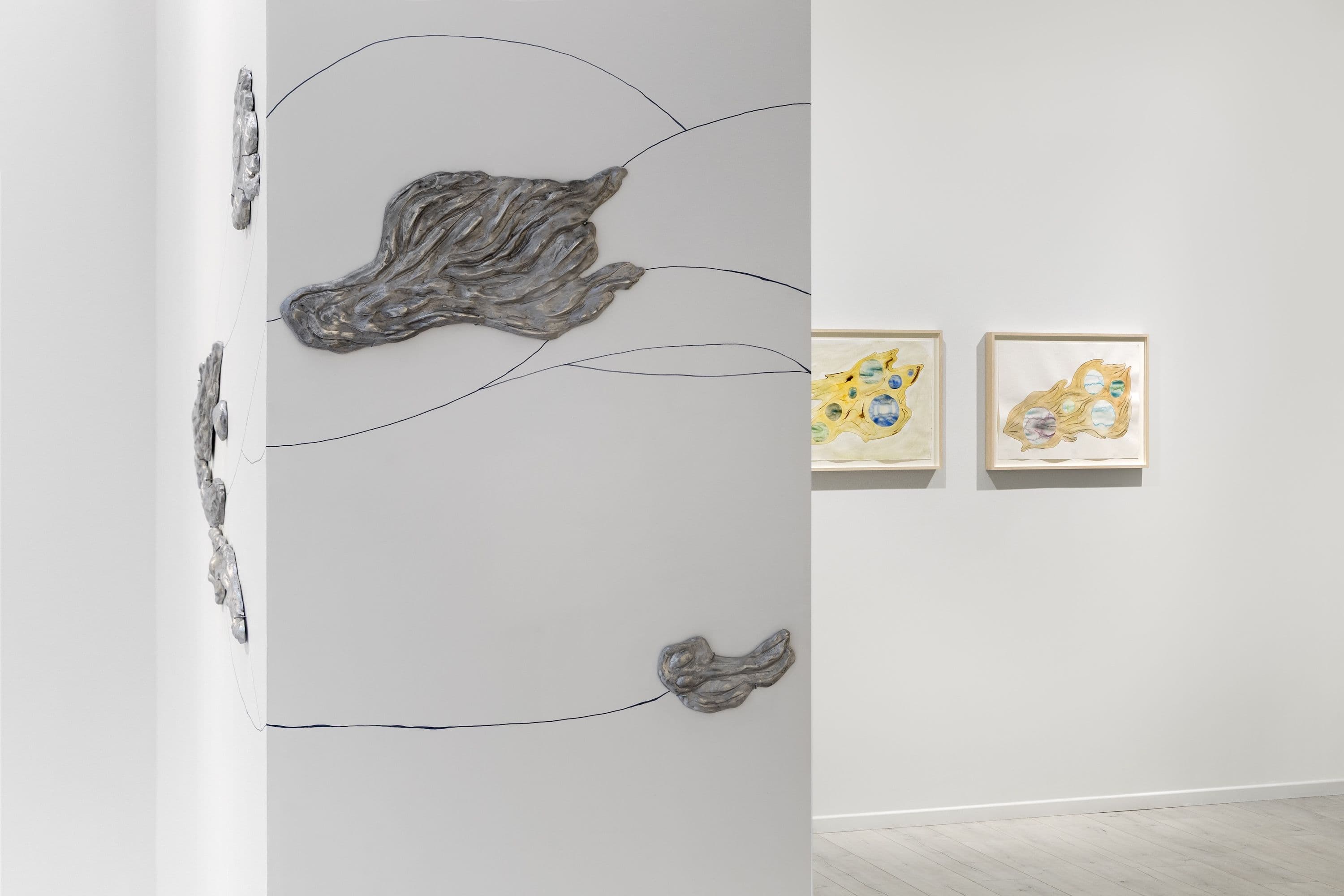 Carin Ellberg — Coastal Settlers and Species from the Sea — image 12 of 12