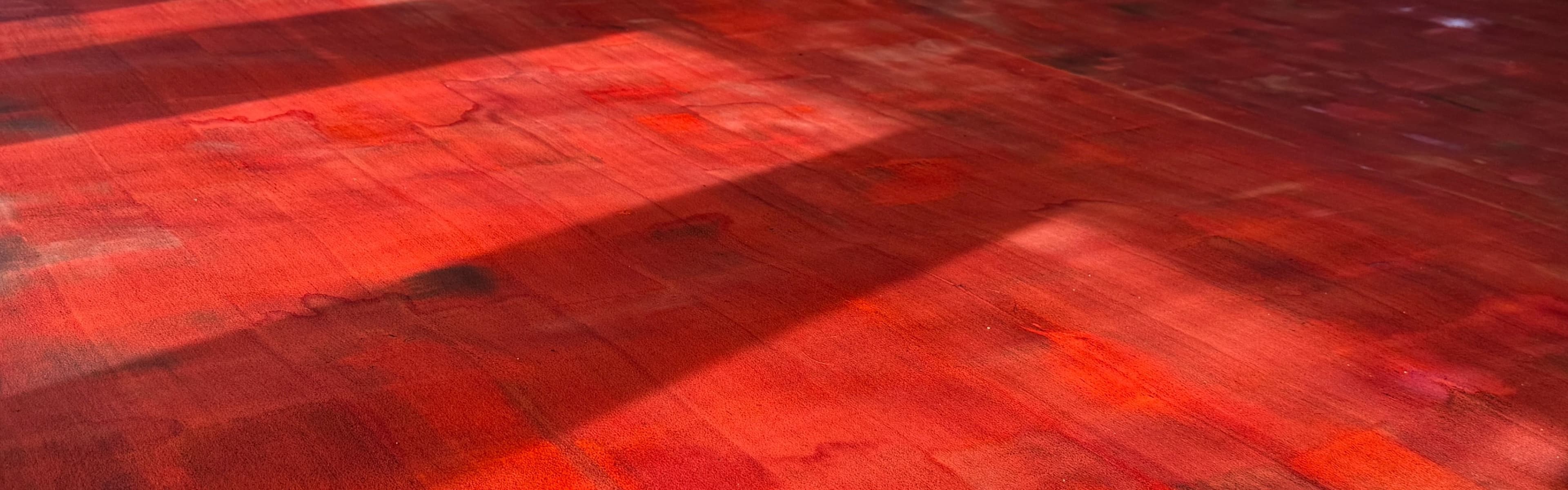 Carmen Argote — Soft Perimeter of Home