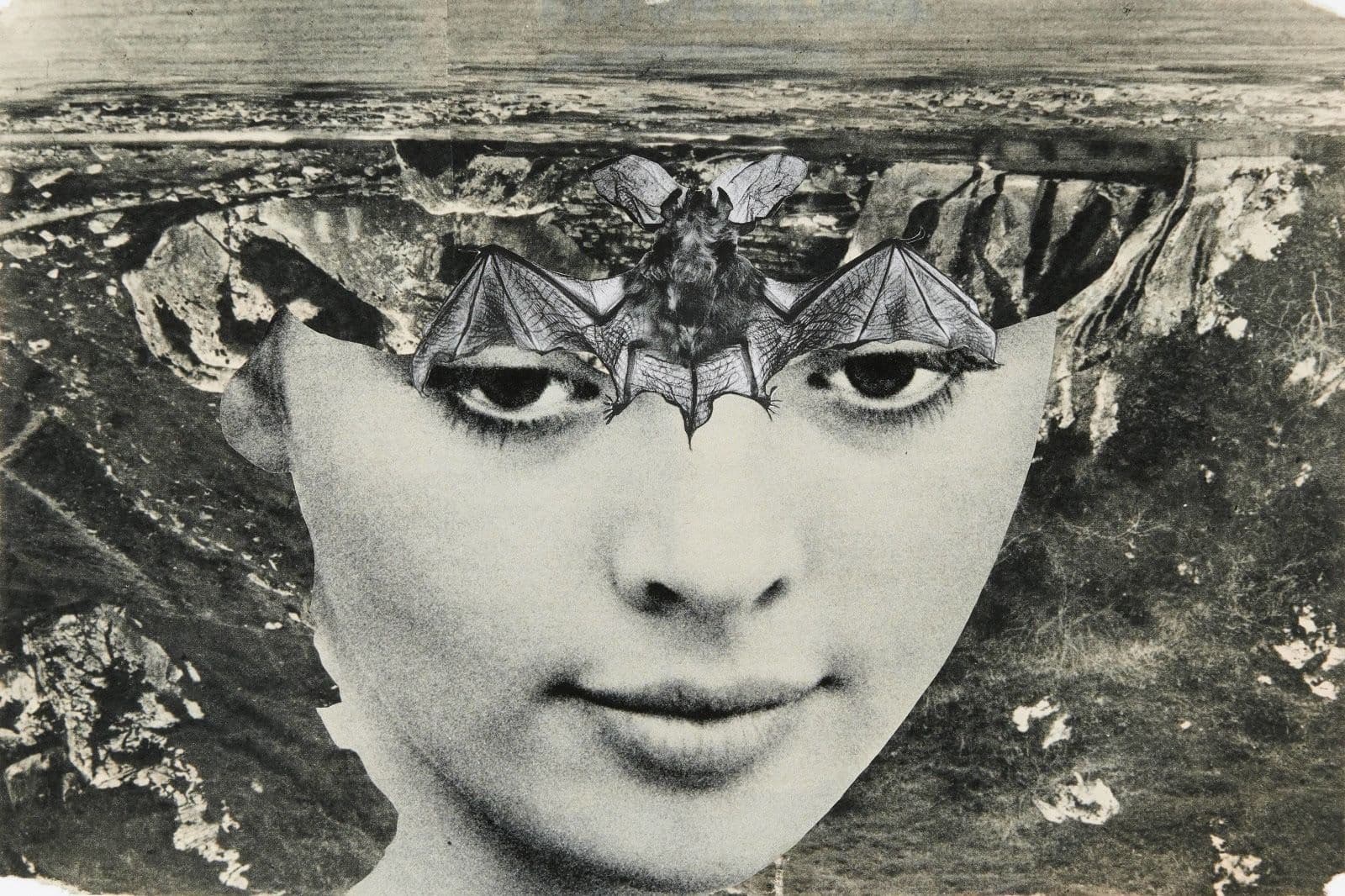 Sarah Schumann — Collages and Paintings from 1954 to 1982