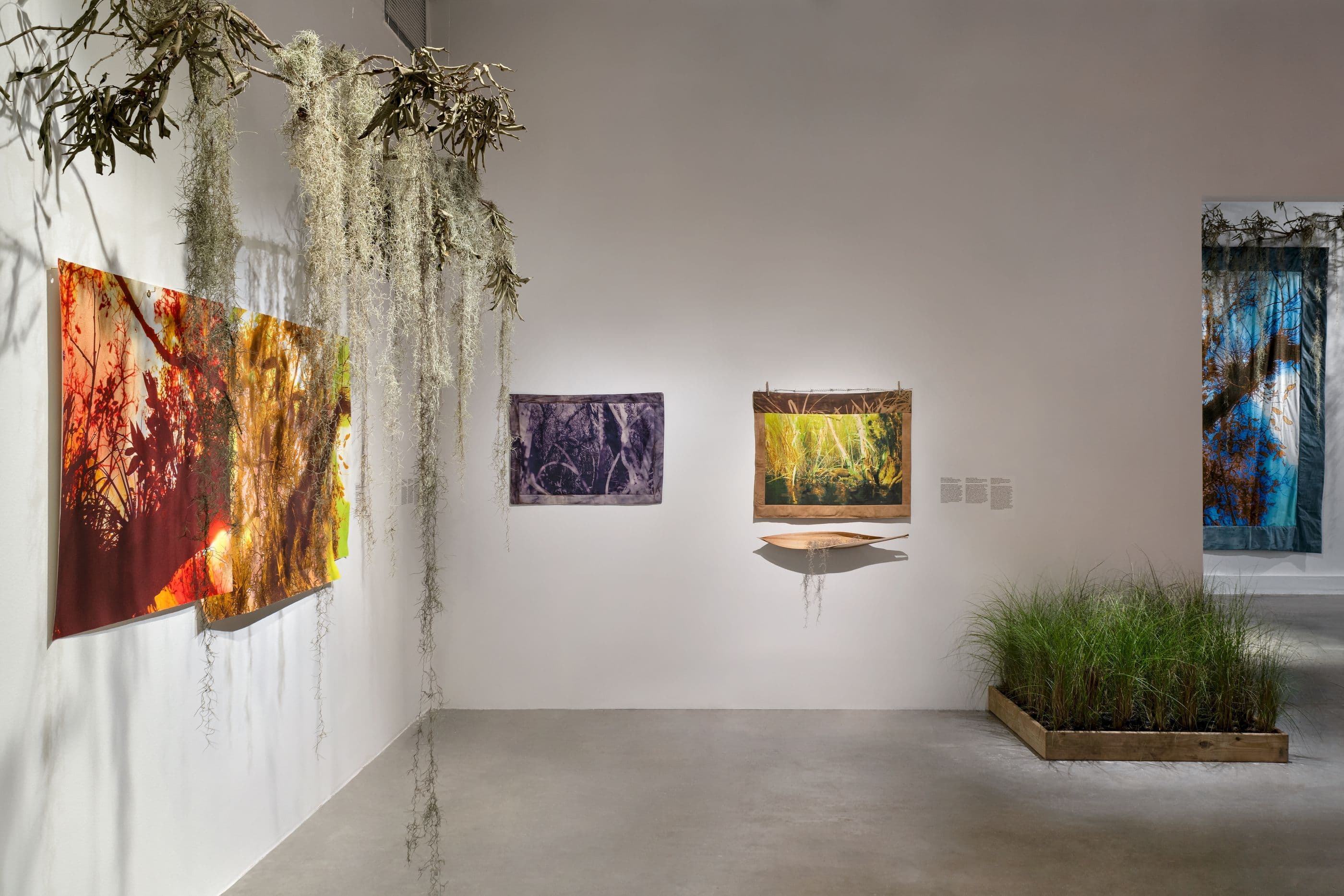 Diana Eusebio — Field of Dreams — image 8 of 8