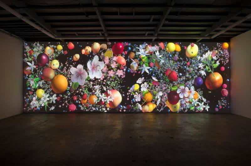 Jennifer Steinkamp — Still-Life — image 1 of 2