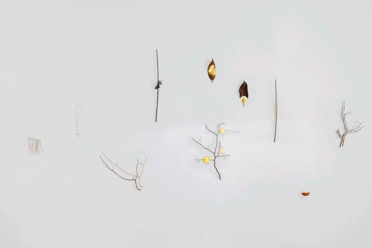 Daniel Steegmann Mangrané — La Pensée Férale — image 4 of 4