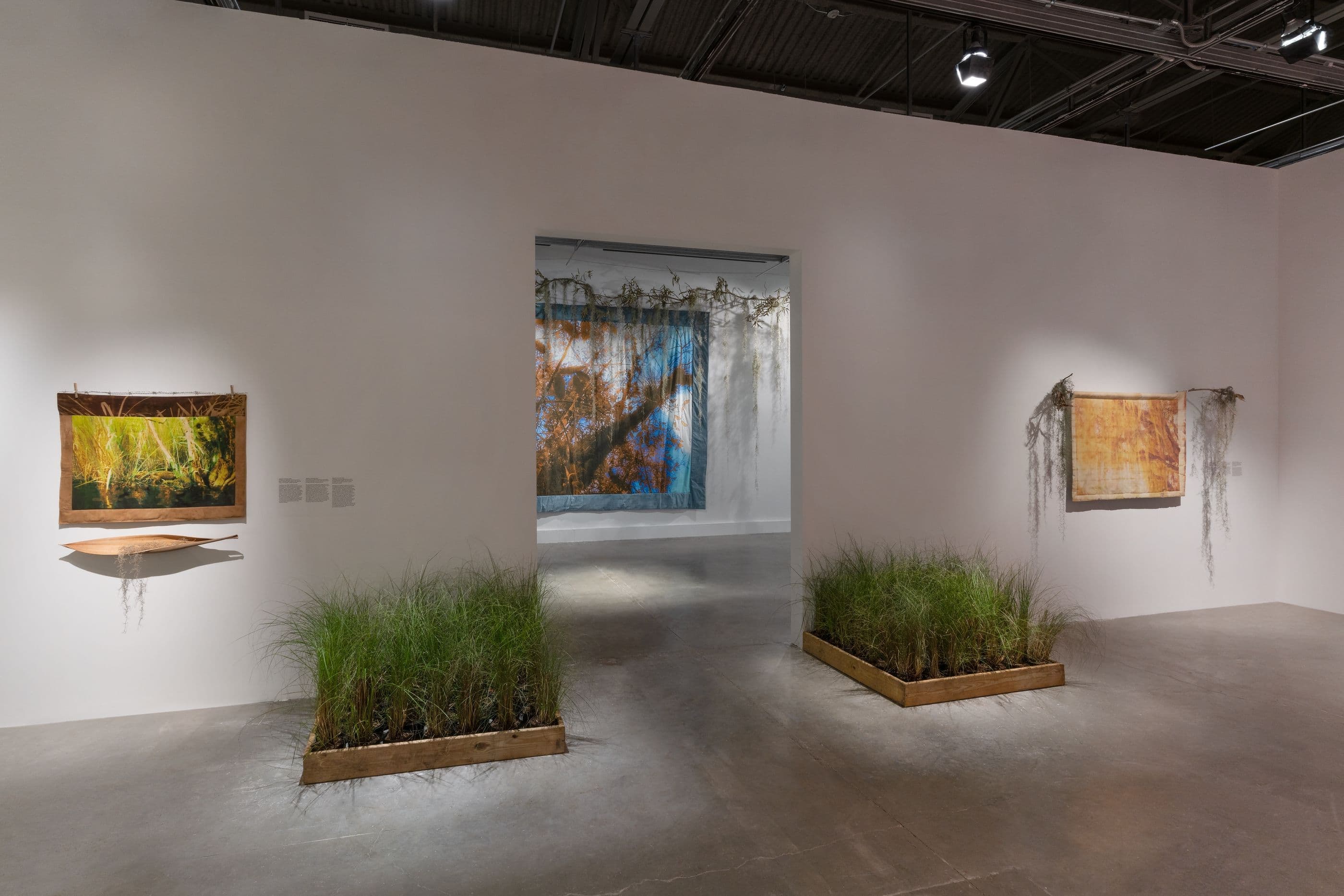 Diana Eusebio — Field of Dreams — image 9 of 10