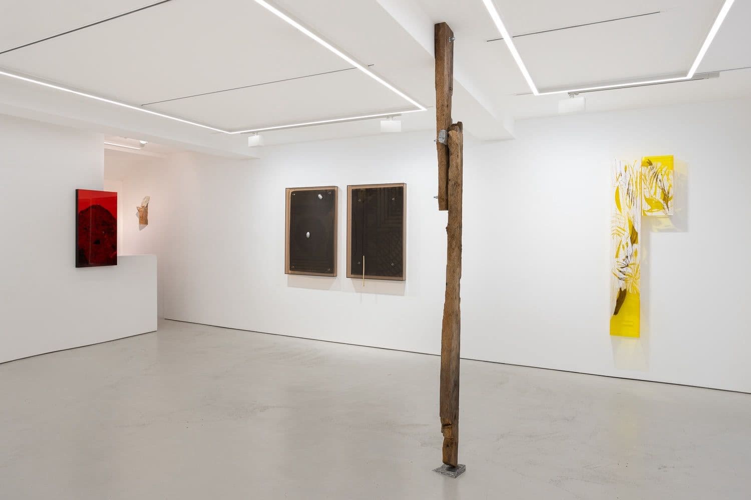 Saskia Noor van Imhoff — Mineral Lick — image 3 of 3