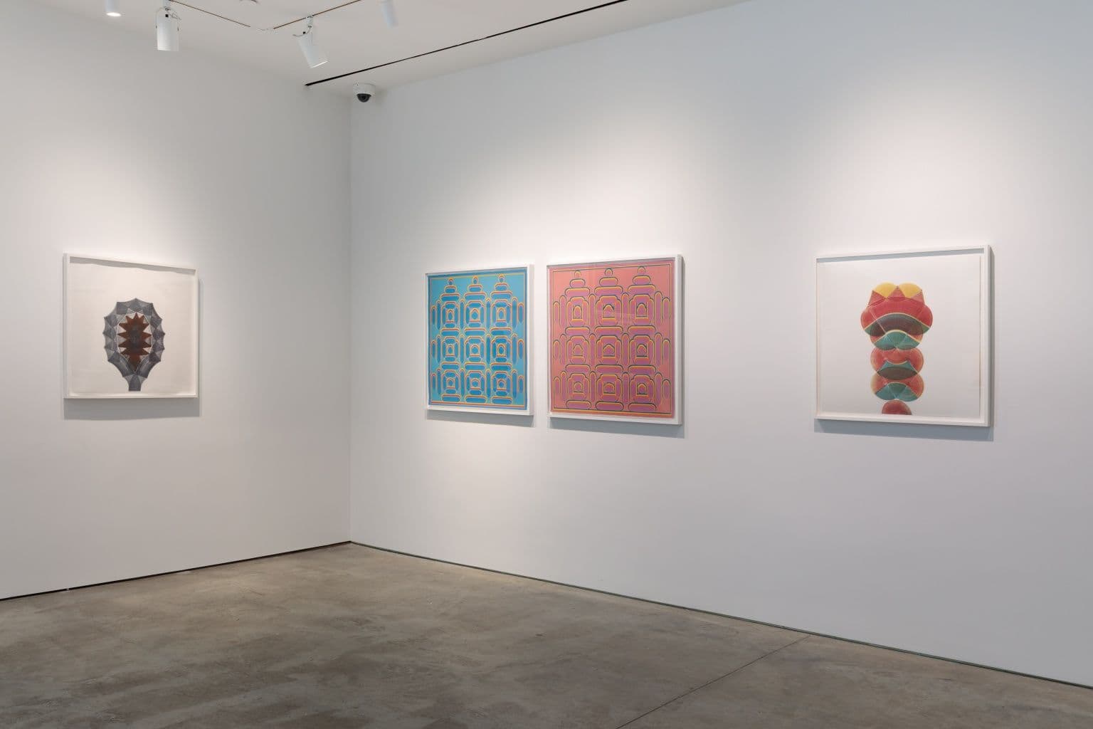 Dan Walsh — Dan Walsh — image 3 of 3