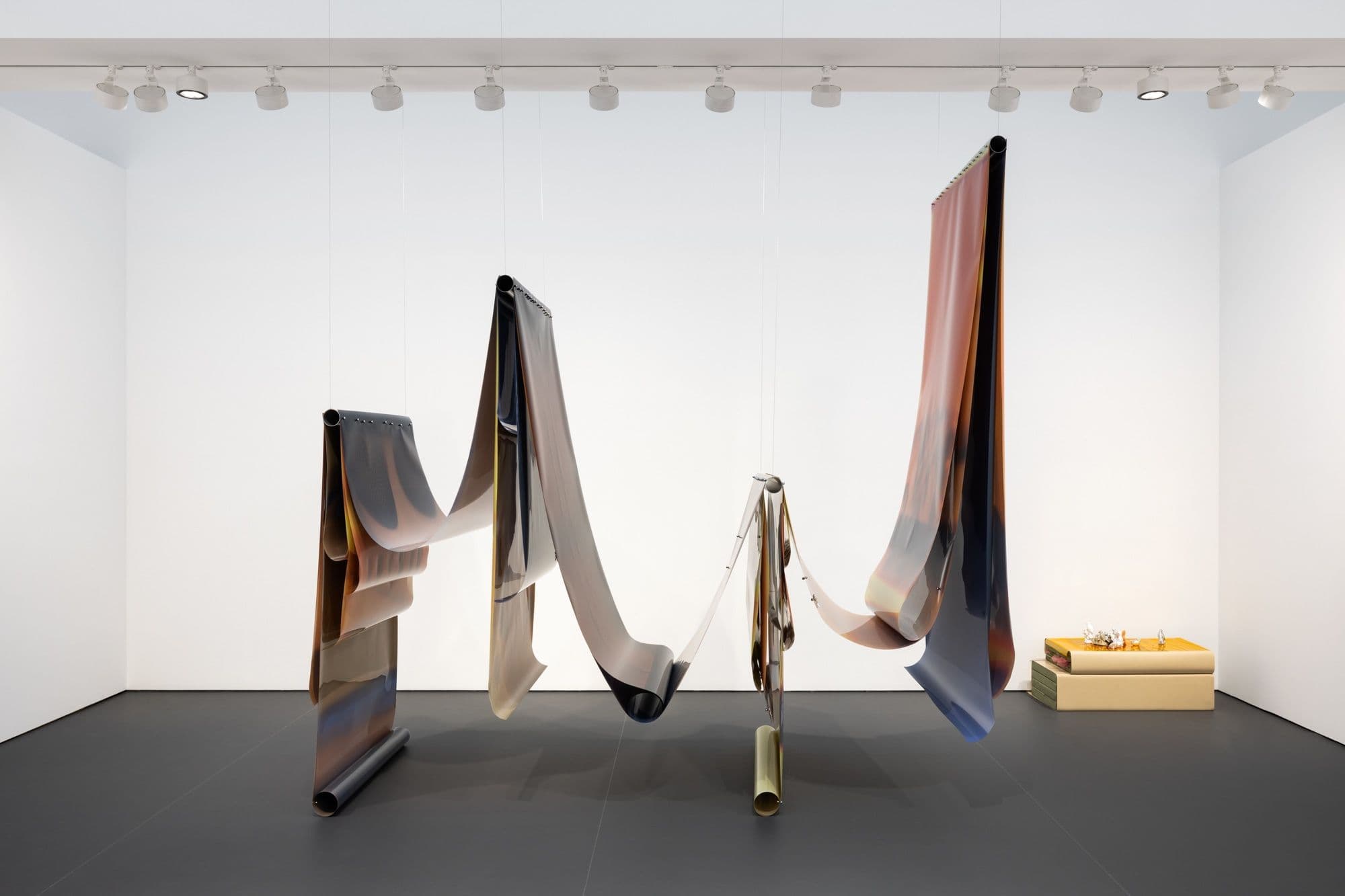 Lotus L. Kang — Borne — image 2 of 2