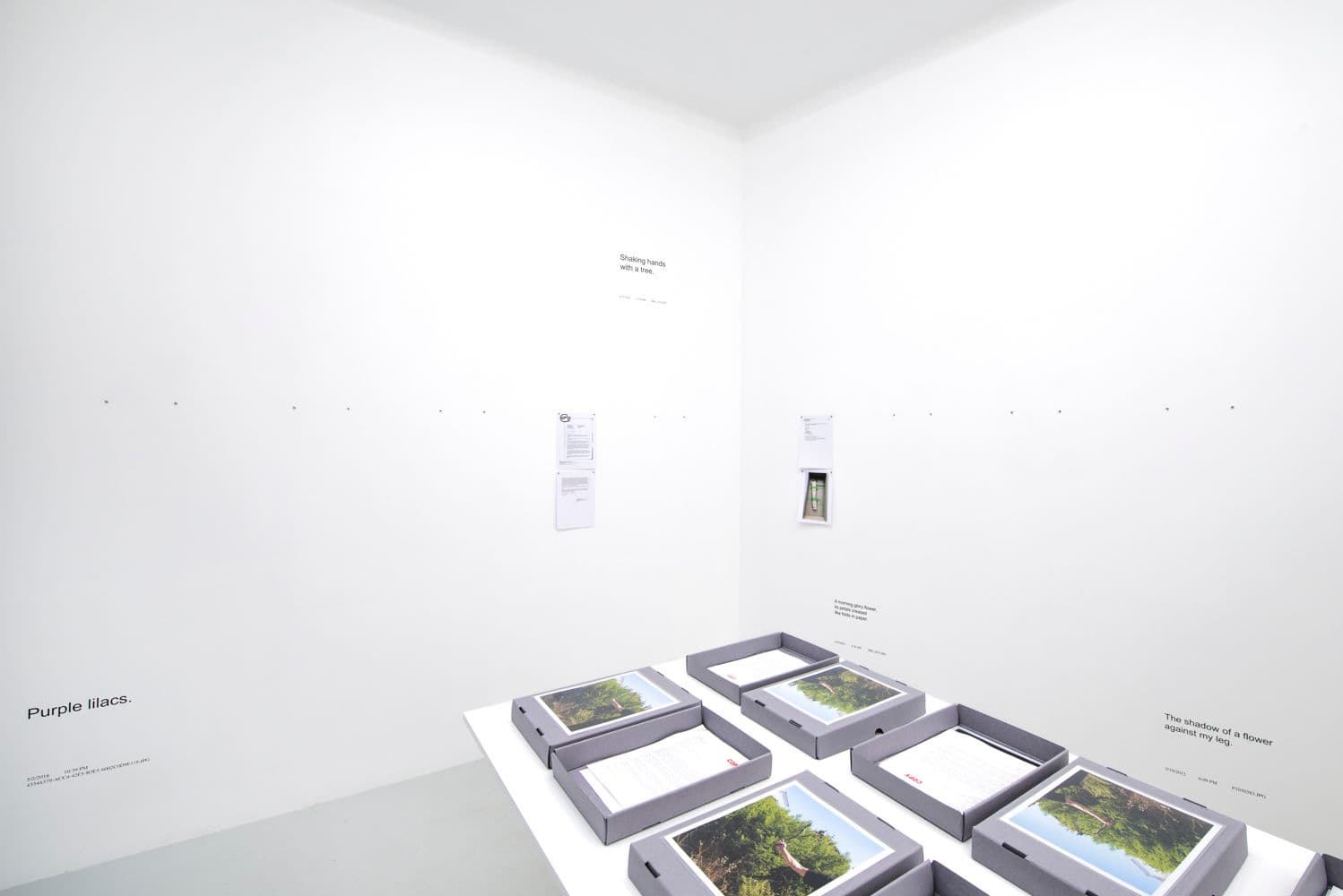 David Horvitz — Avenues All Lined With Trees — image 6 of 8