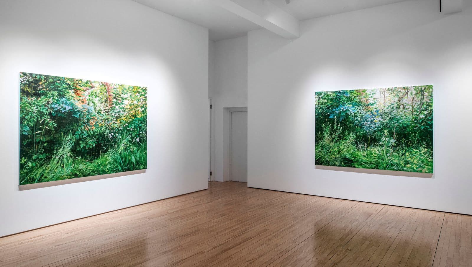 Hannah Brown — The Road to Hollow Pond — image 1 of 2