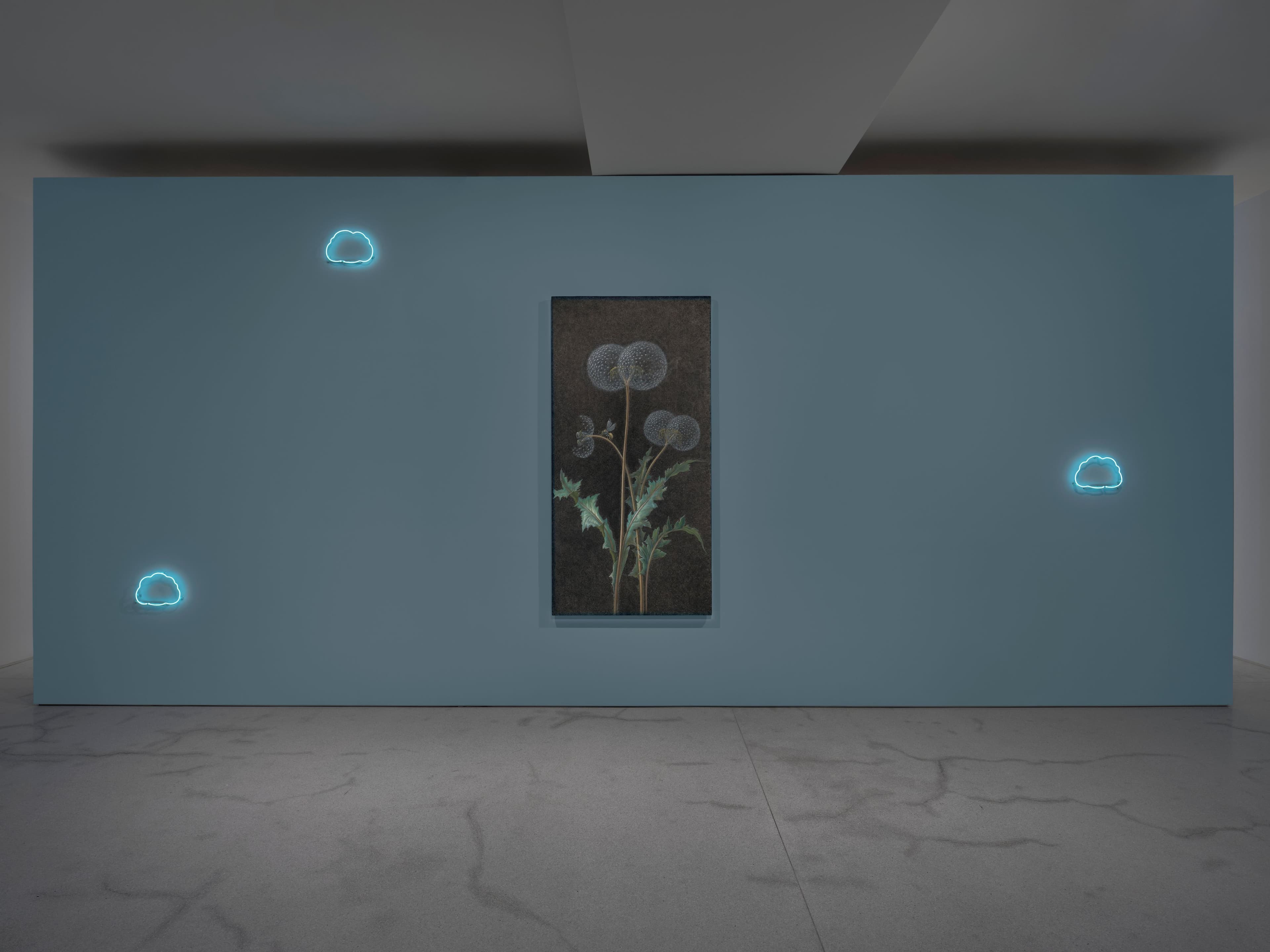 Laurent Grasso — Orchid Island — image 4 of 4