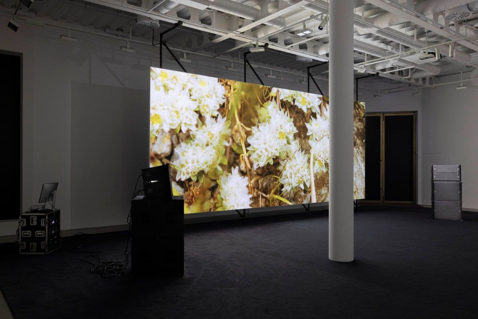 Philippe Parreno — El Almendral — image 3 of 4