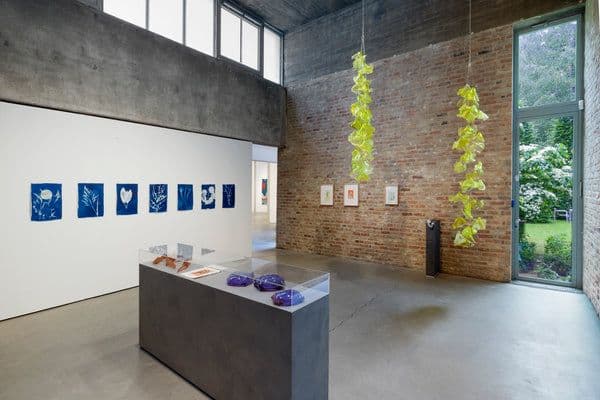 Tue Greenfort — Wunderkammer — image 1 of 5