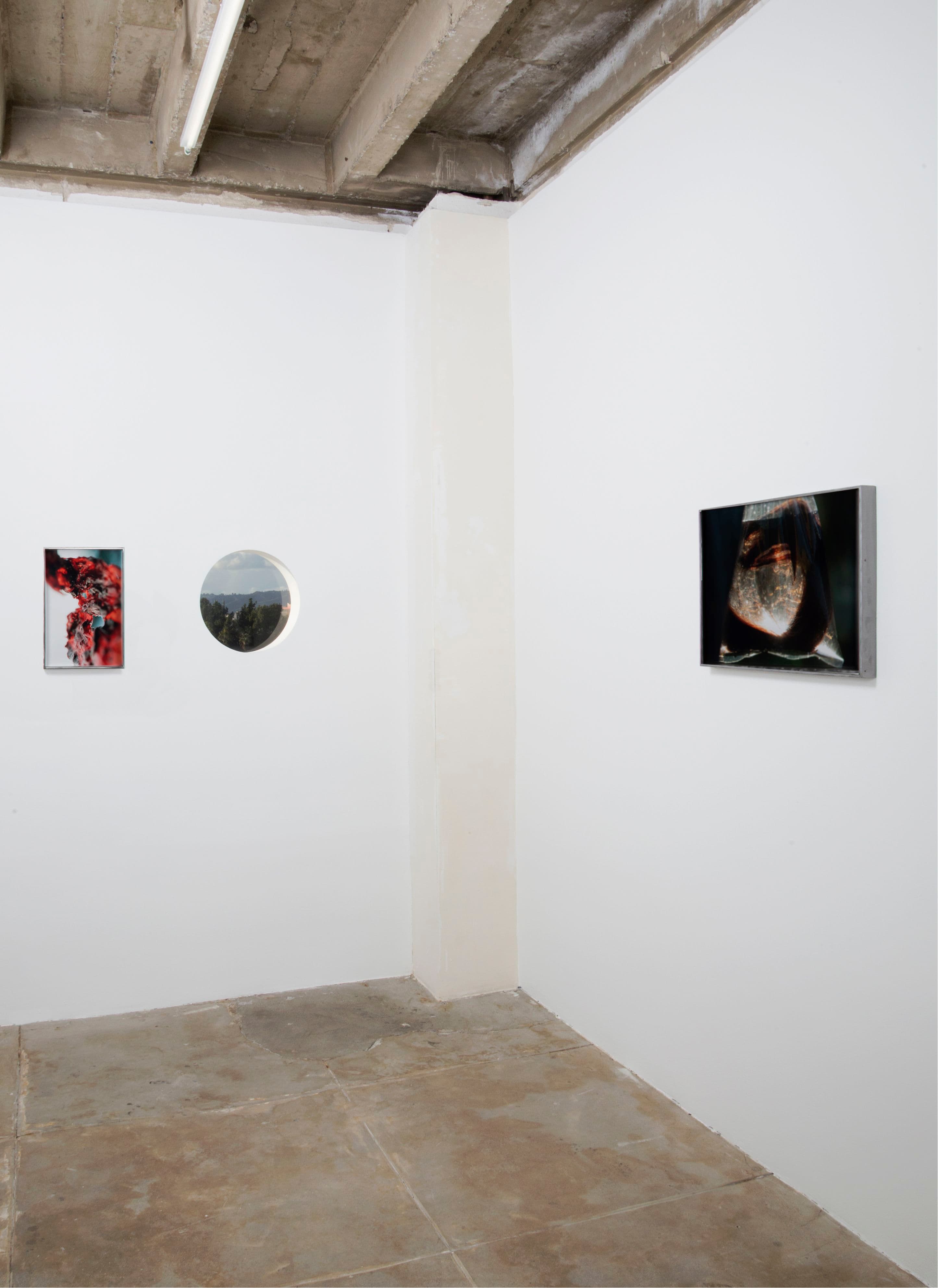 Diane Severin Nguyen — Flesh Before Body — image 2 of 5