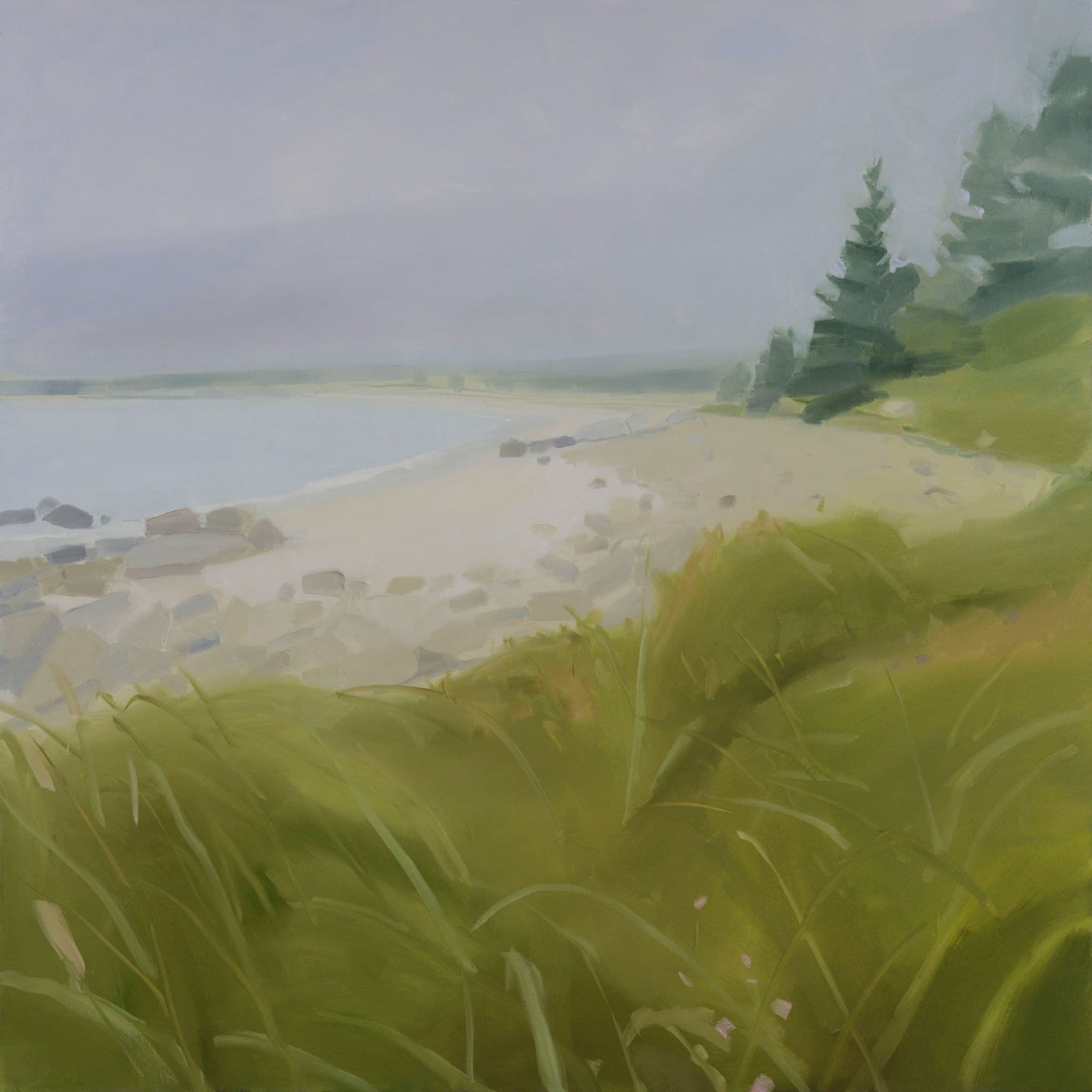 Sun Fog Rain