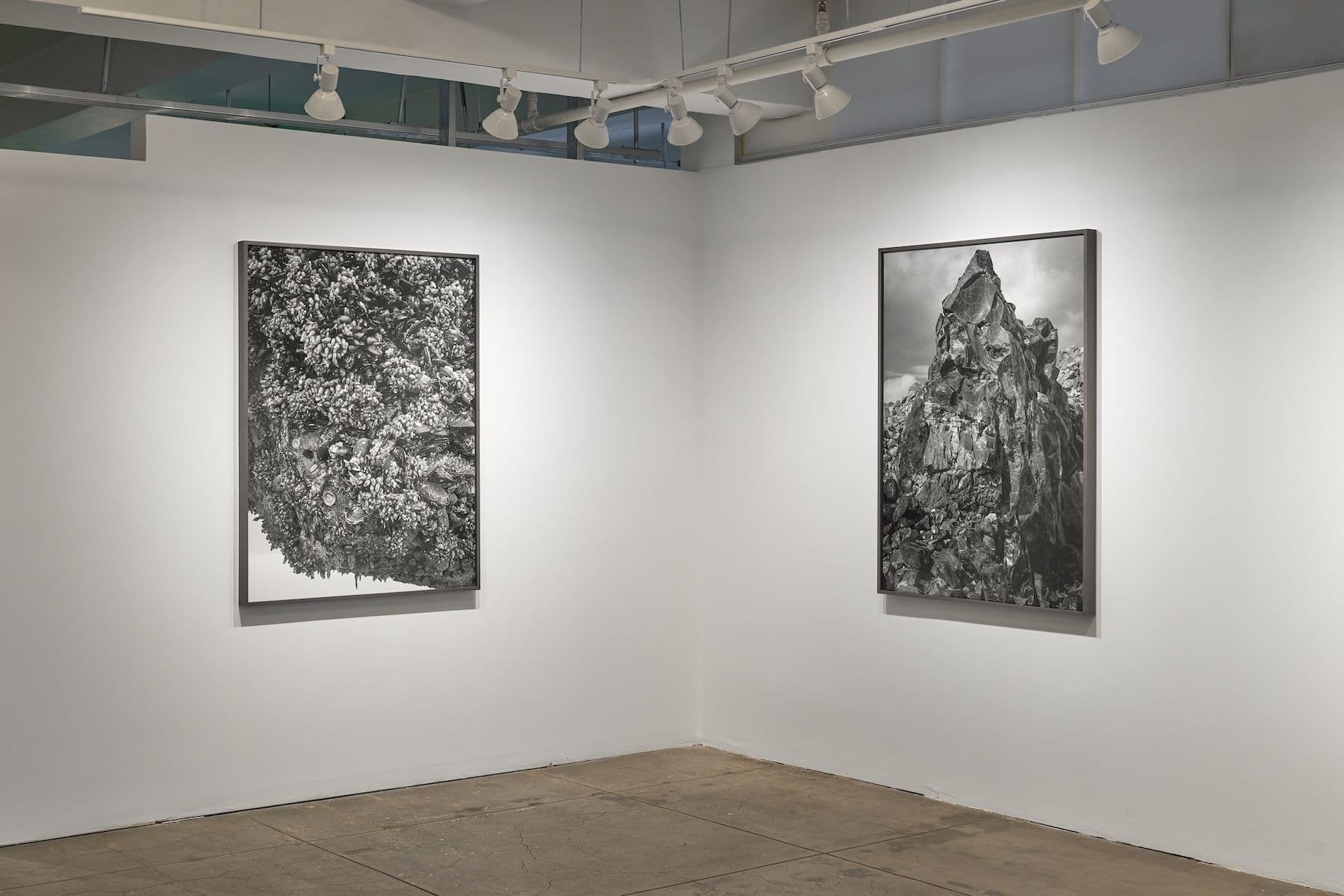Ron Jude — Low Tide — image 10 of 12