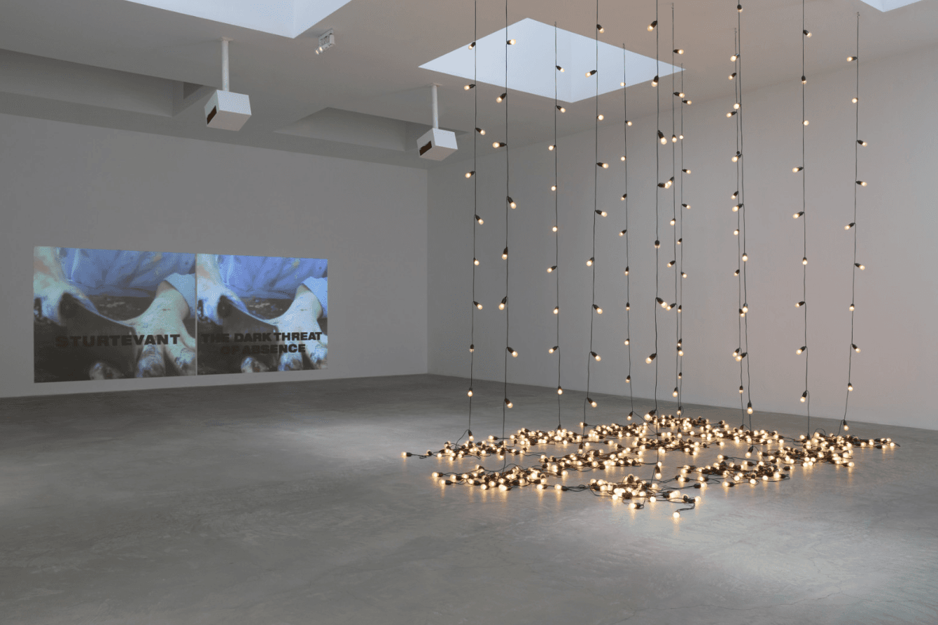 Group Exhibition — Sturtevant — image 3 of 5