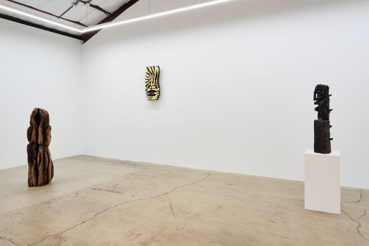 Ryan Schneider — Earth Canal — image 4 of 4