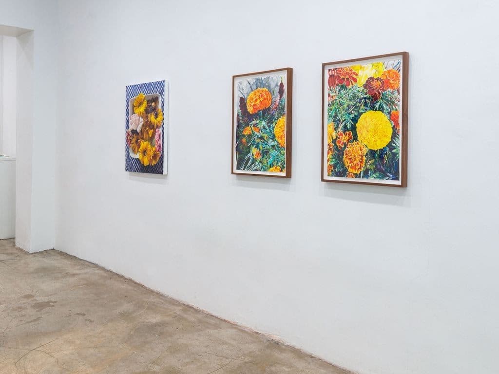 Group Exhibition — Wildflowers — image 3 of 3