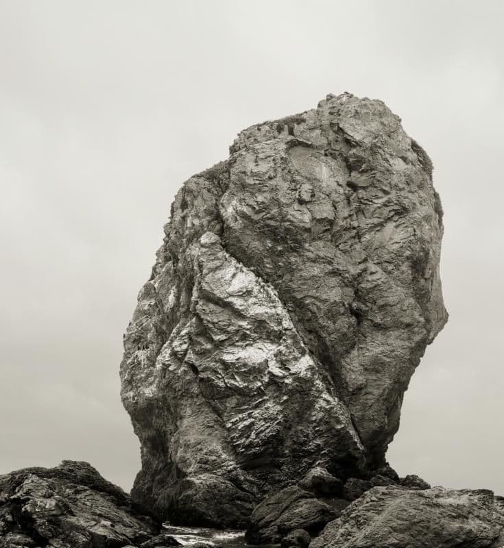 Amir Zaki — Formal Matter