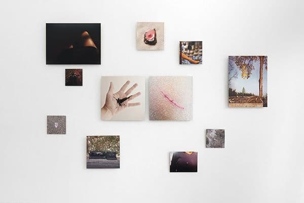 Dani Soter — Dani Soter — image 8 of 8