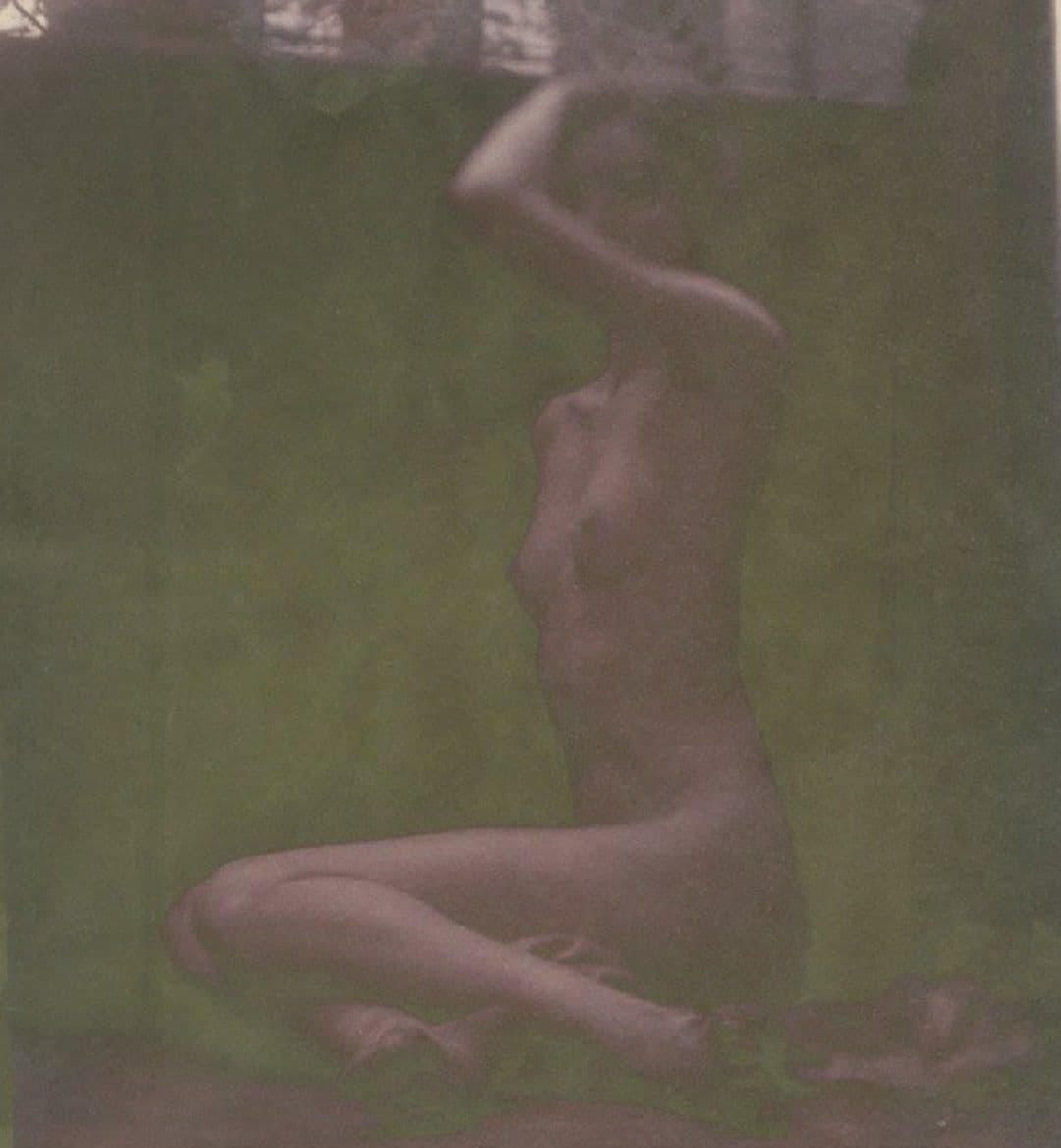 Hal Hirshorn — Surrender Everything to the Sun