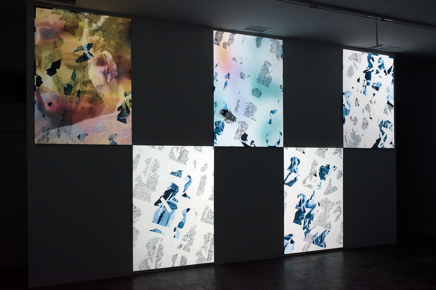 Peter Wu — Rise Of The Fly — image 1 of 4