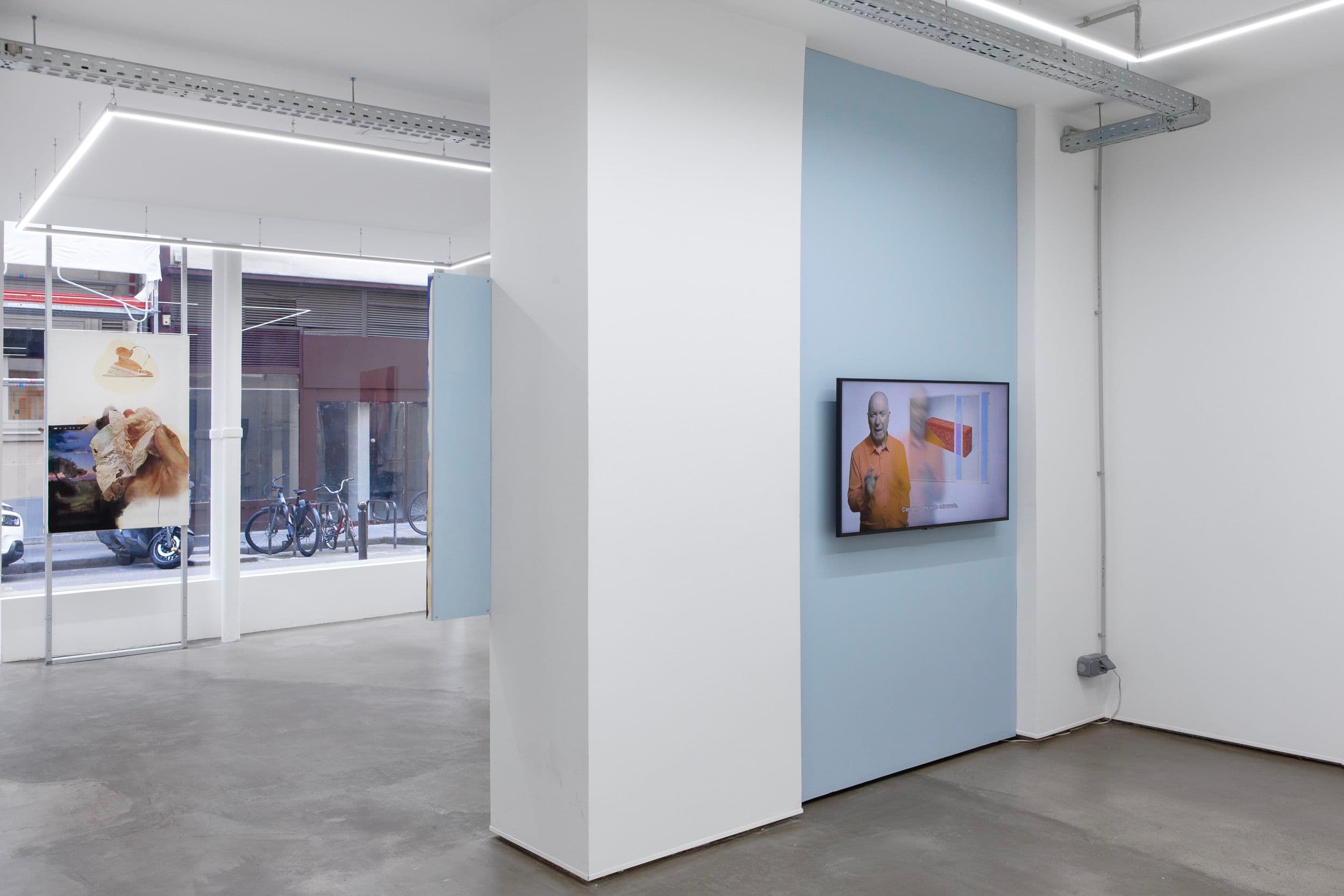 Gaspar Willmann — My Ligature Room in a Glass House — image 9 of 12