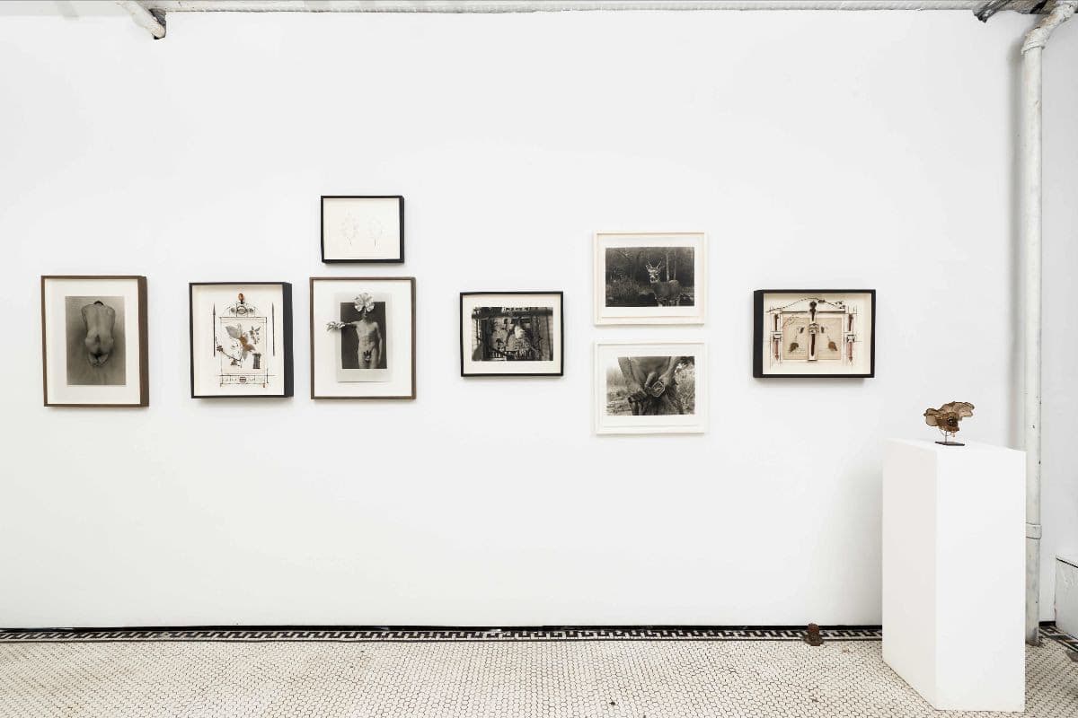 Eric Rhein — Sweetness on the Mountain — image 3 of 3