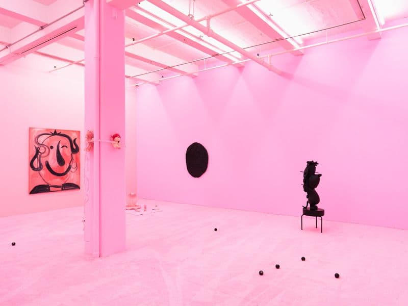 Brian Kokoska & Chloe Seibert — Night Cage — image 4 of 8