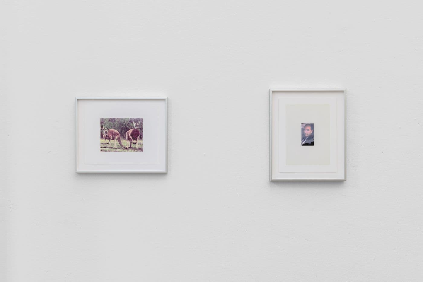 Lucien Samaha — The Price of Gas & First Digitals — image 2 of 8