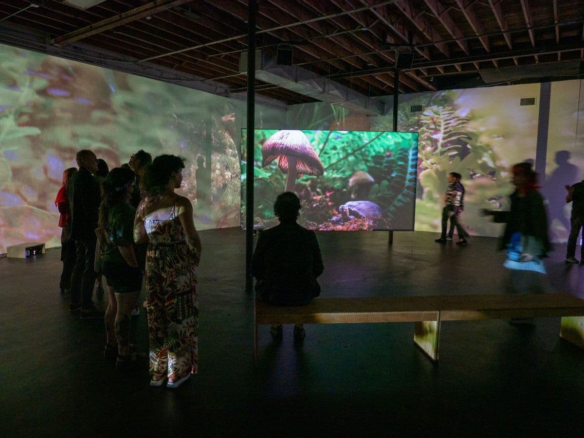 Nadia Hironaka & Matthew Suib — Field Companion — image 1 of 6
