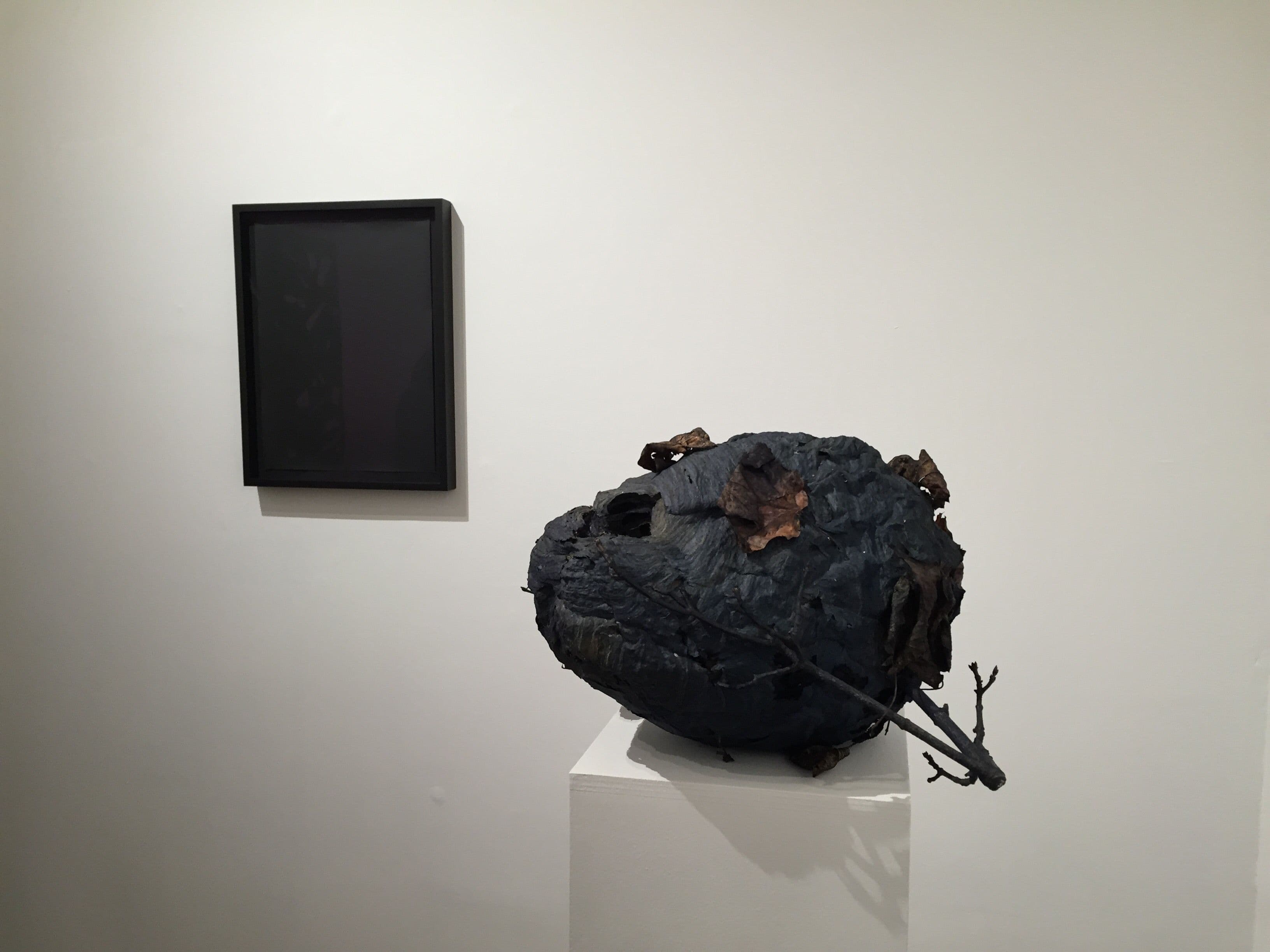 Reuben Cox — Topical Songs — image 1 of 3