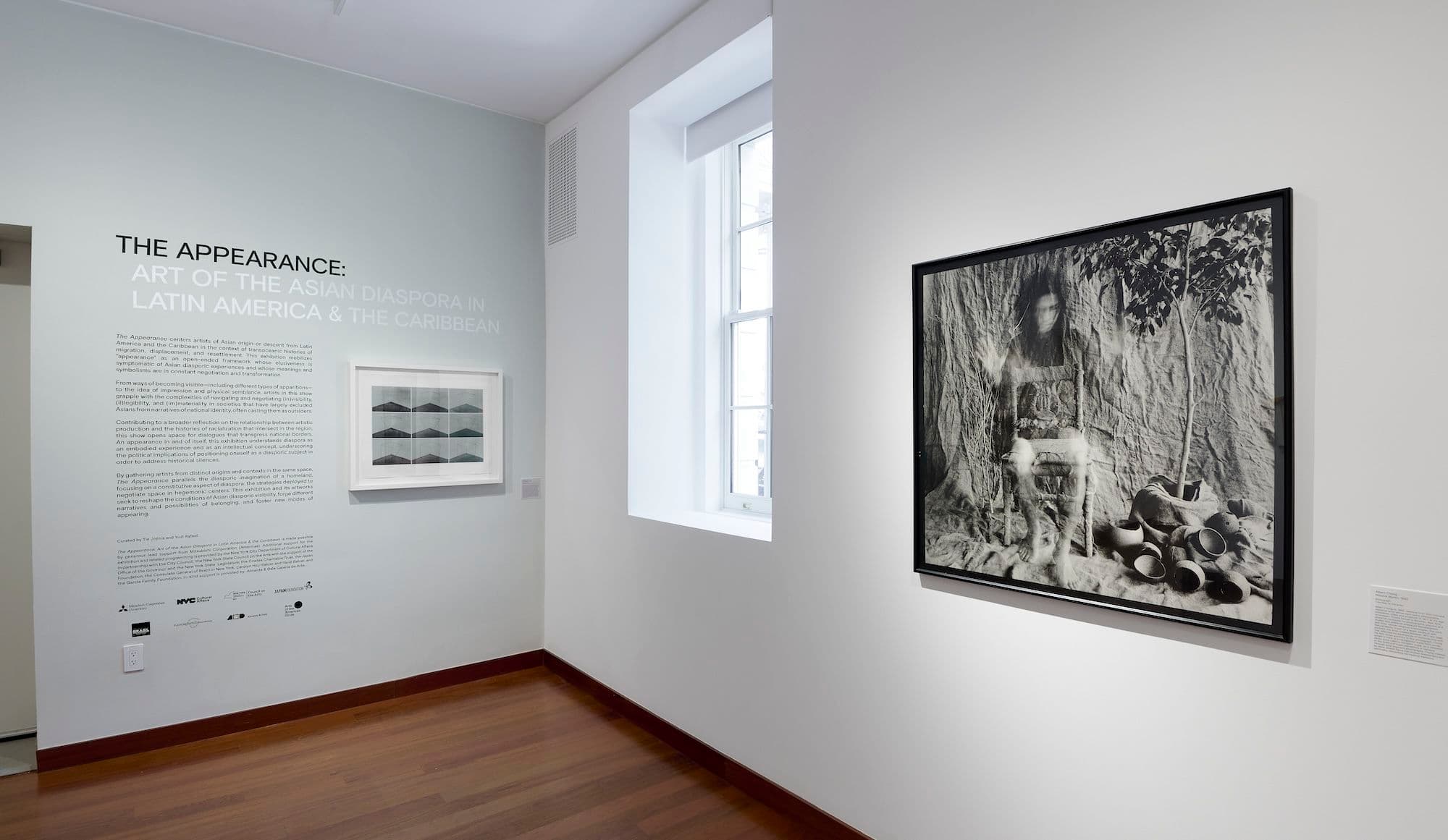 Group Exhibition — The Appearance: Art of the Asian Diaspora in Latin America & the Caribbean — image 4 of 8