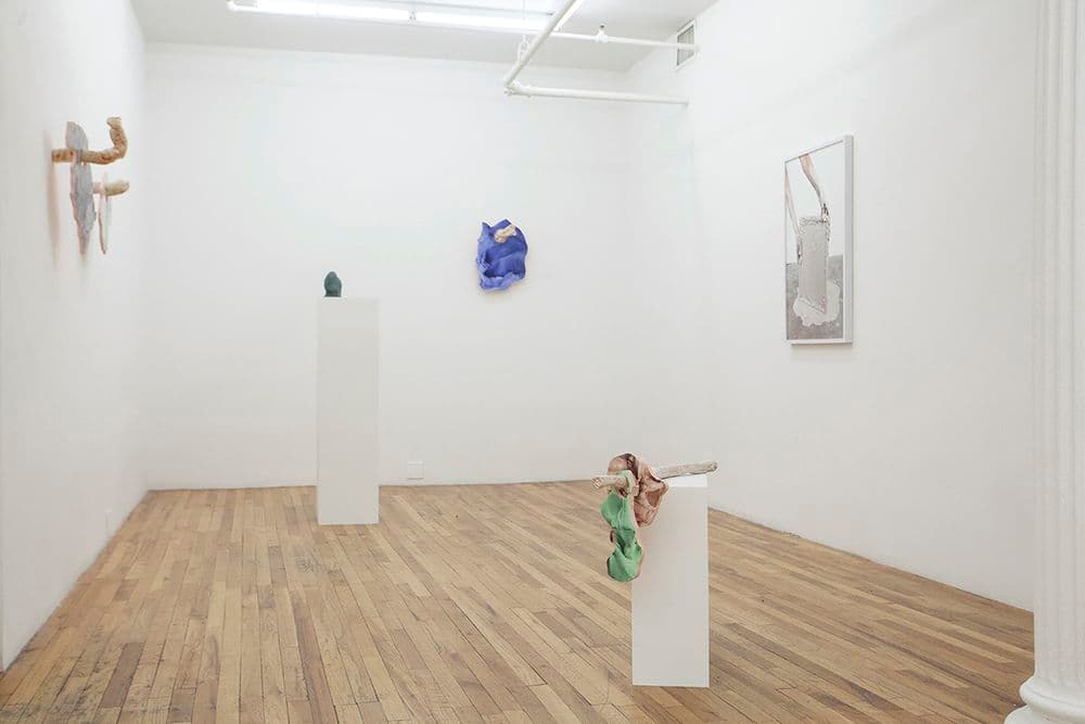 Rachel de Joode — Soft Inquiry — image 1 of 4