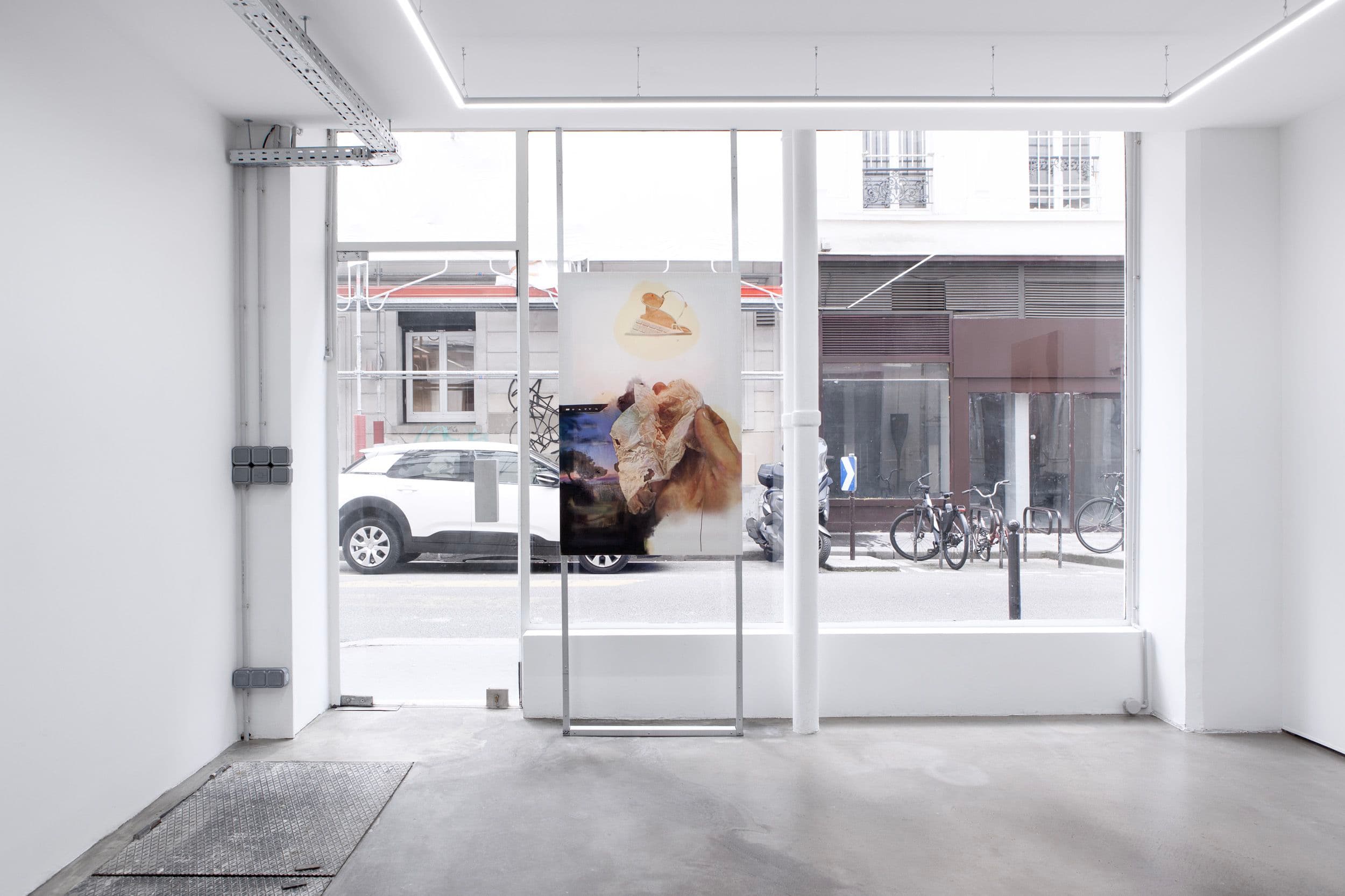 Gaspar Willmann — My Ligature Room in a Glass House — image 3 of 8