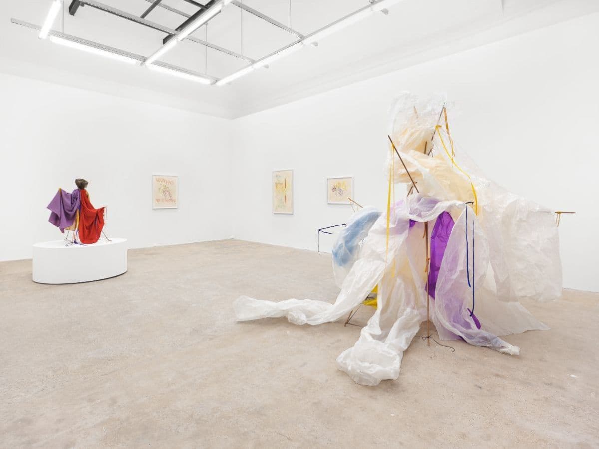 Rosemary Mayer — Make Me a Place in Time and Seasons: Works by Rosemary Mayer, 1971–1983 — image 1 of 2