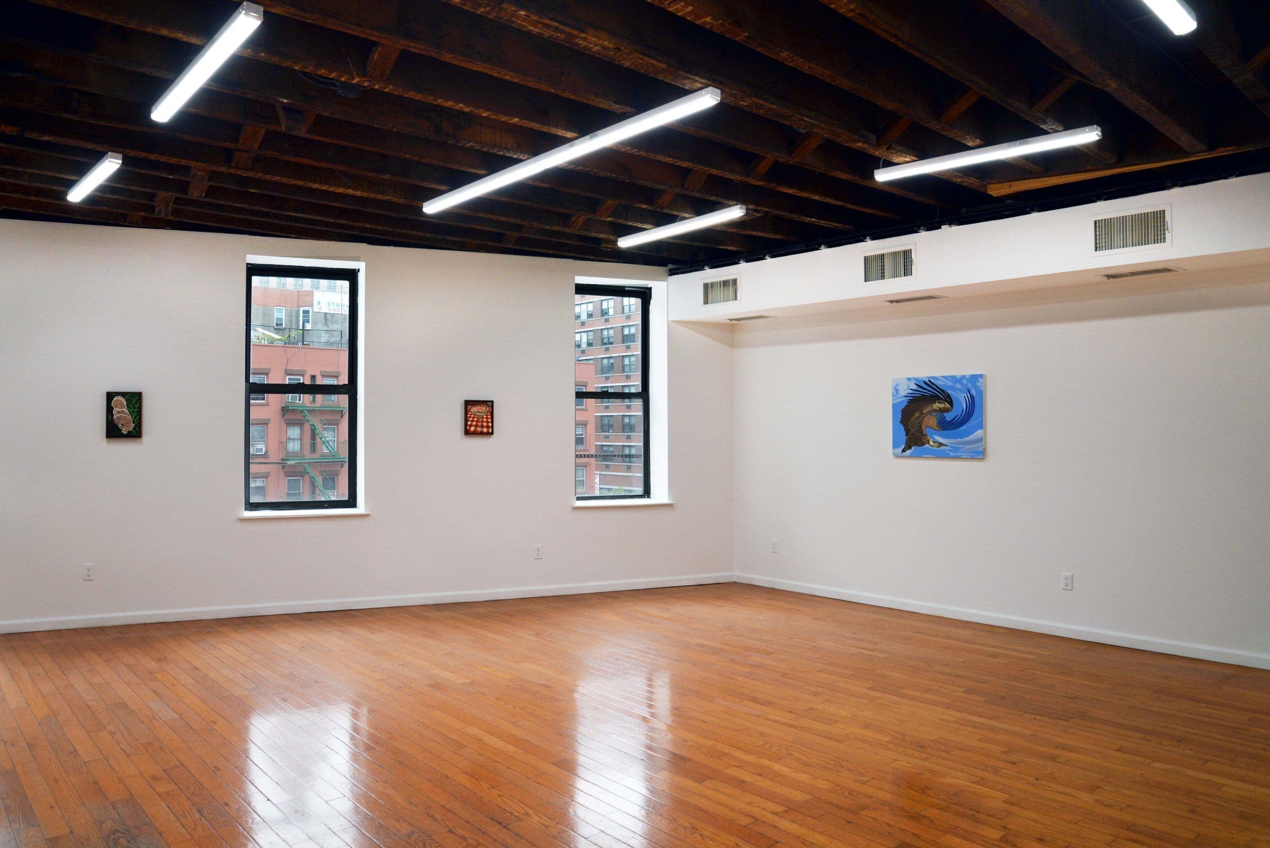 Harry Schleiff — Content — image 2 of 4