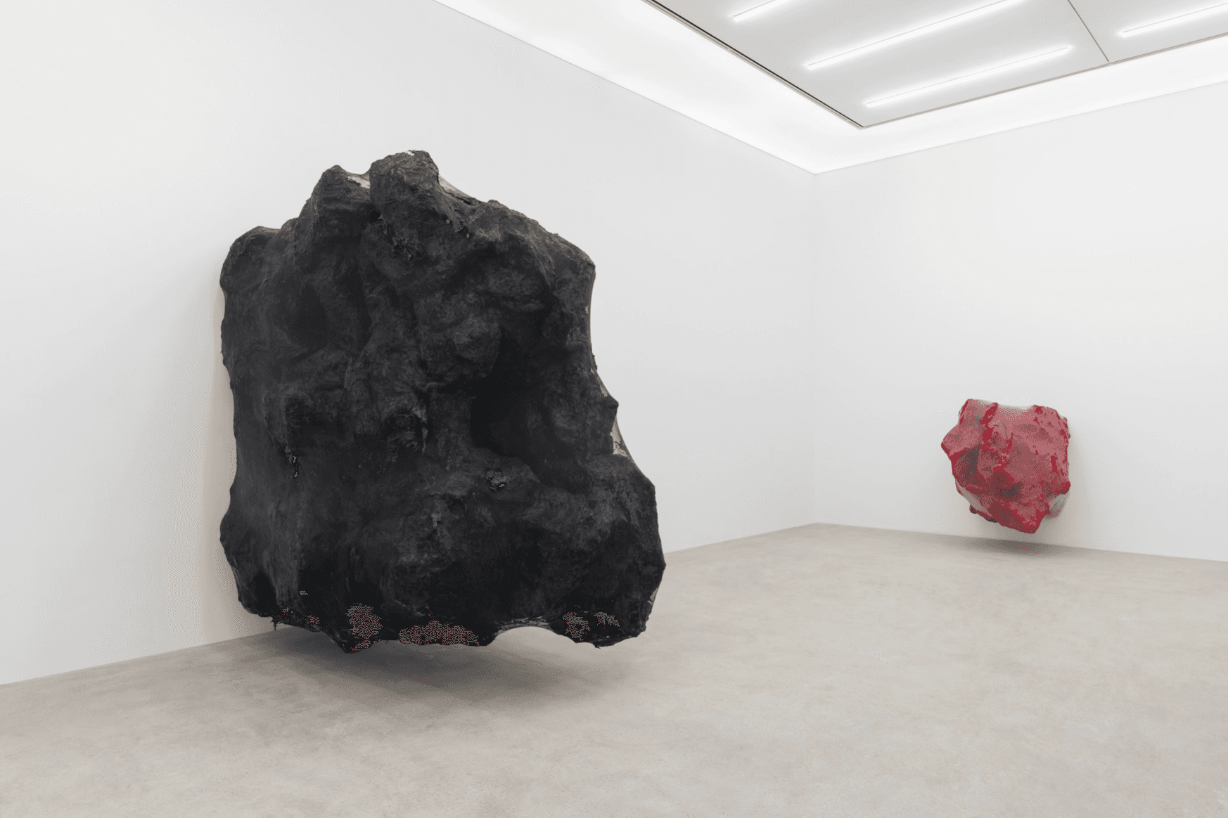 Anish Kapoor — Anish Kapoor — image 7 of 8