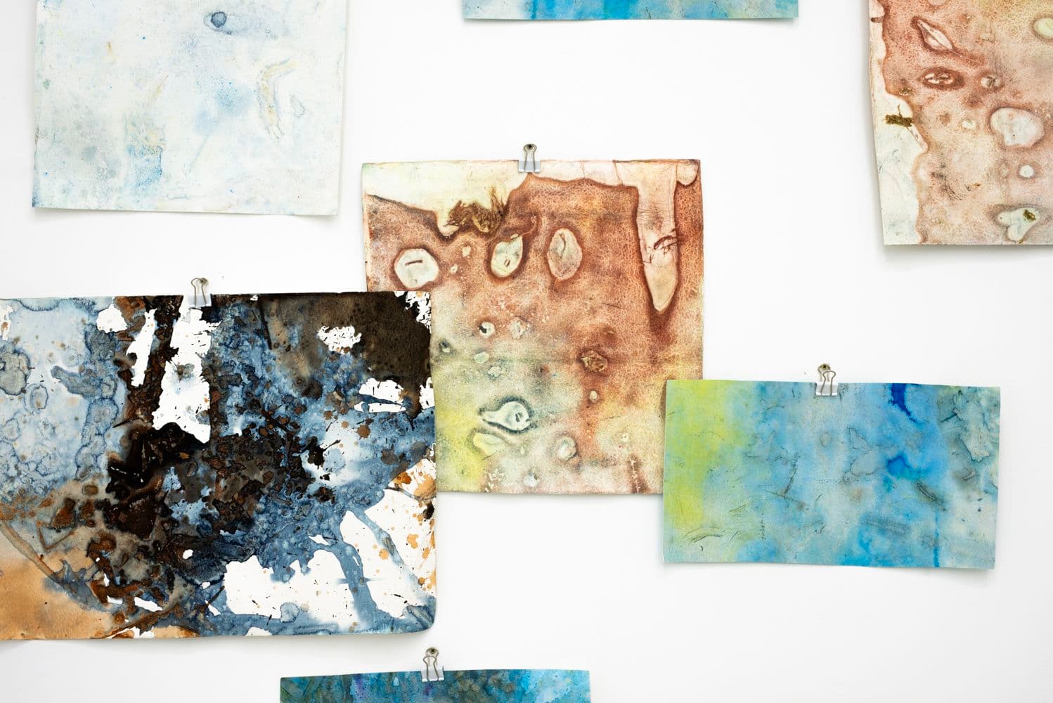David Horvitz — Avenues All Lined With Trees — image 10 of 12