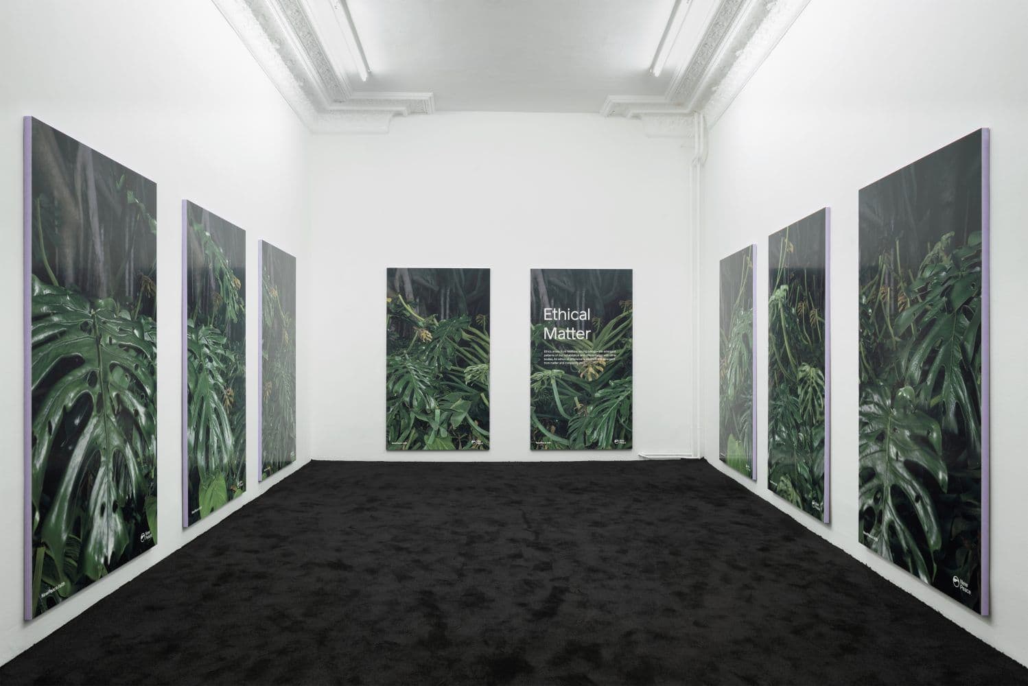 Timur Si-Qin — Campaign For A New Protocol, Part I — image 1 of 8