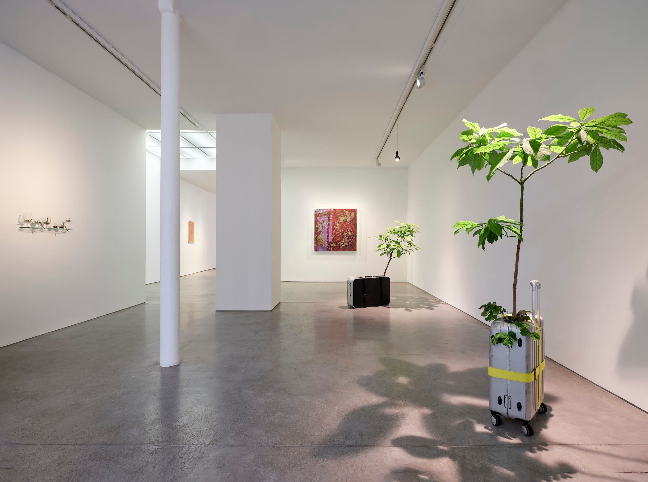 Michel Blazy — Michel Blazy — image 1 of 5
