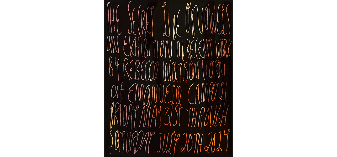 Rebecca Watson Horn — The Secret Life of Vowels
