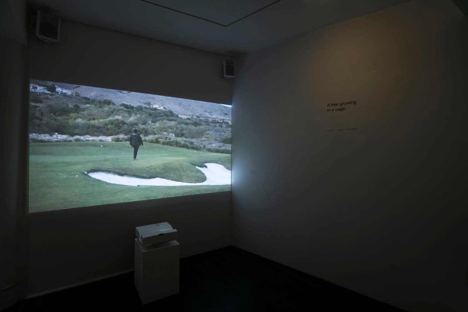 David Horvitz — Avenues All Lined With Trees — image 2 of 4