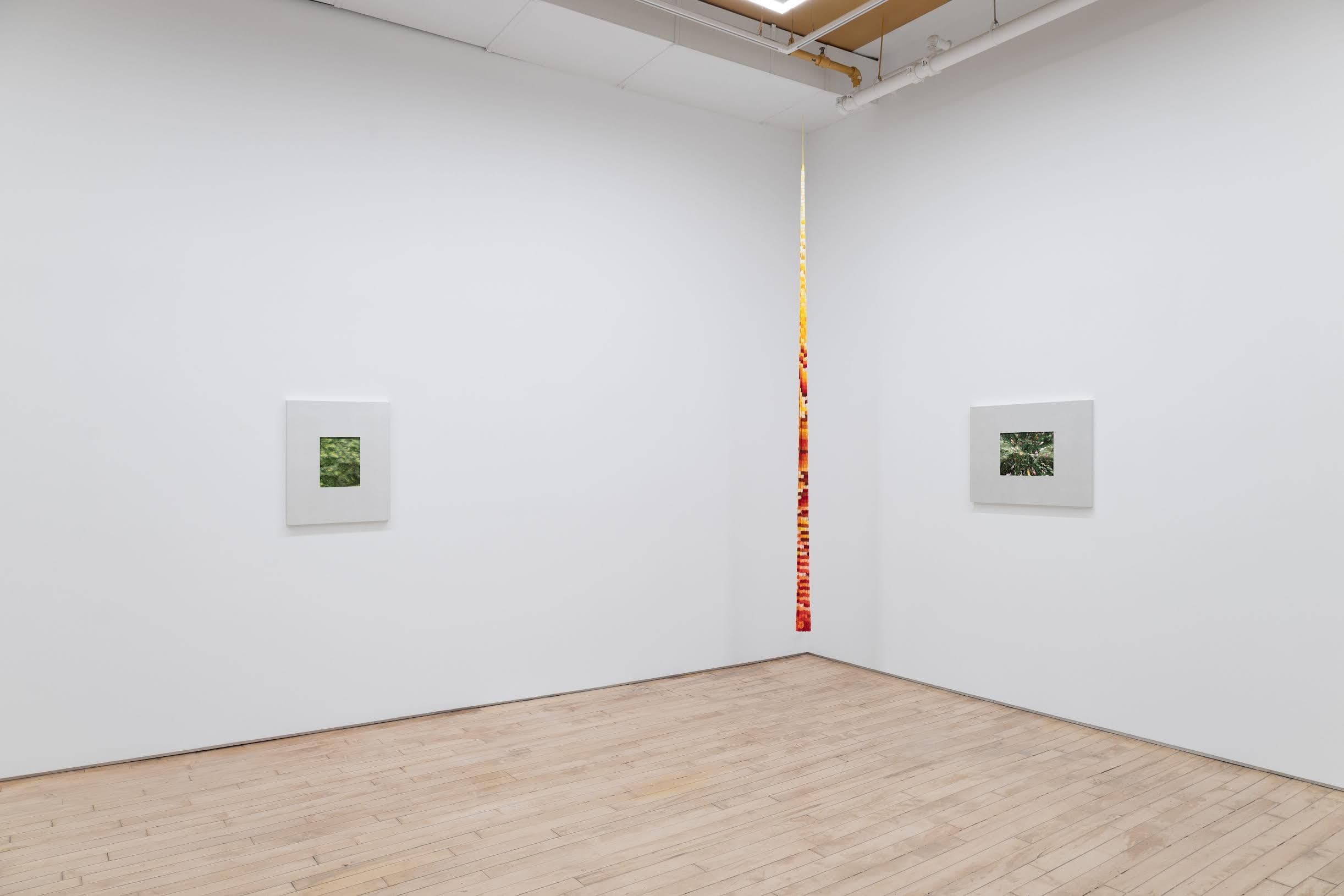 Wang Ye — Legume Blossoms in Blue — image 3 of 6
