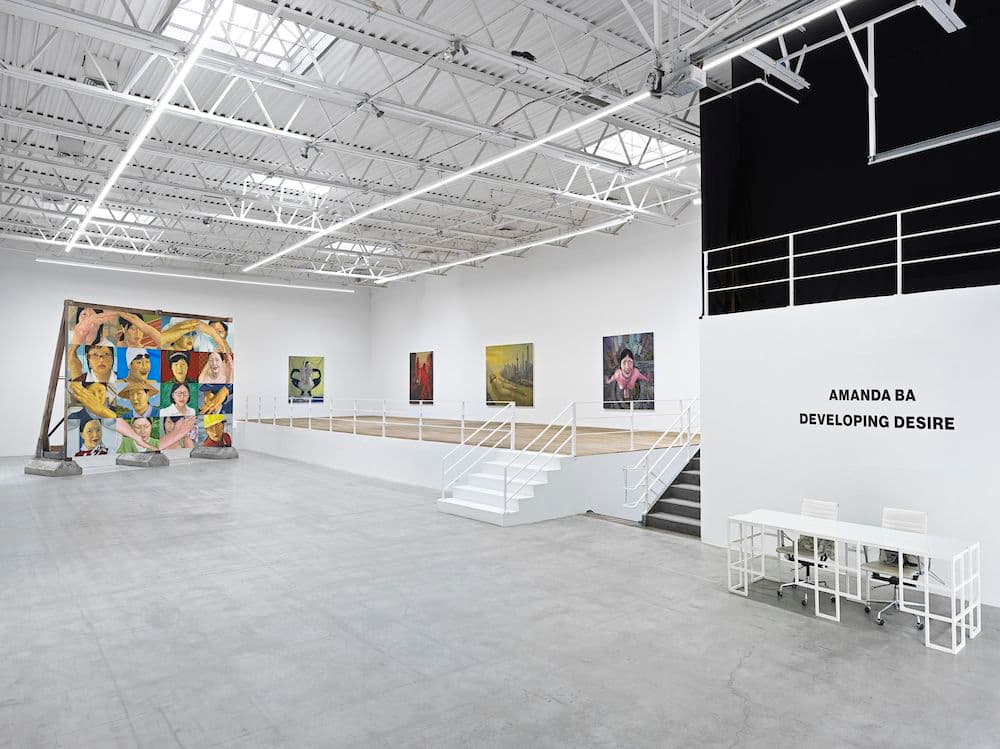 Amanda Ba — Developing Desire — image 3 of 8